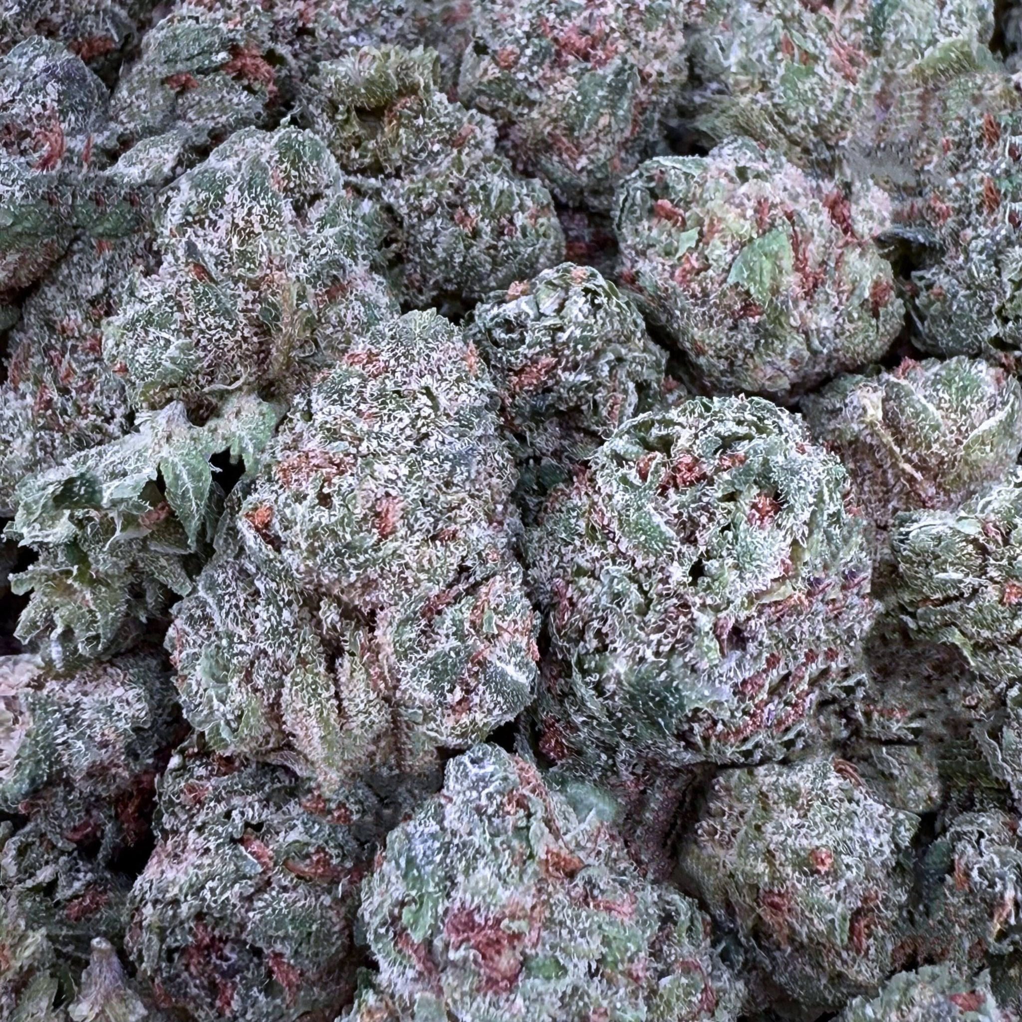 Fruit Loop THCa Smalls ( Wholesale ) - Valley Hemp
