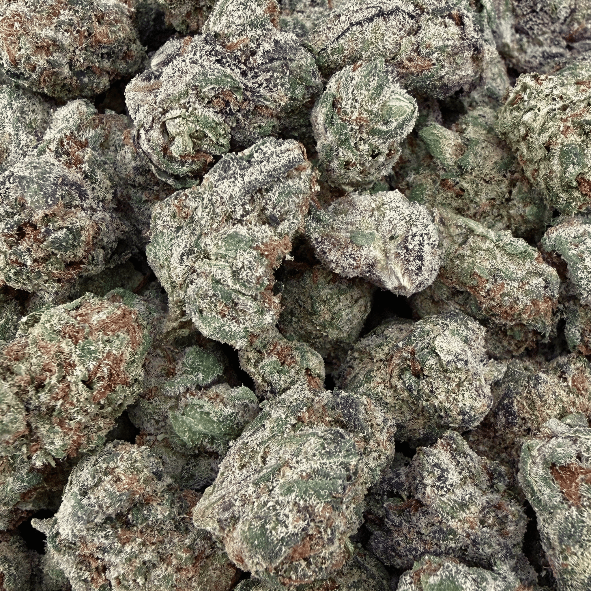 Galaxy Runtz THCa Smalls (Wholesale) - Valley Hemp
