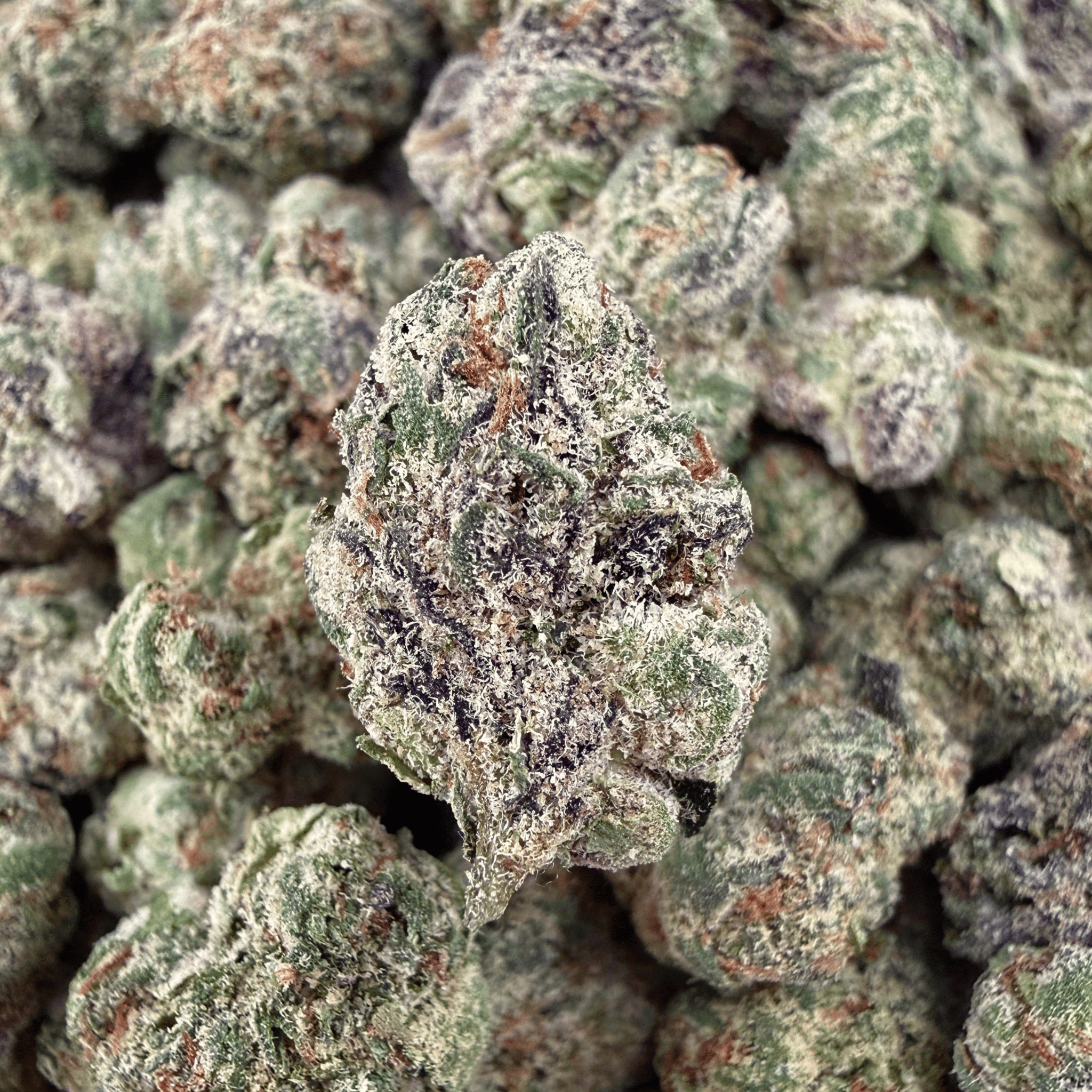 Galaxy Runtz THCa Smalls (Wholesale) - Valley Hemp