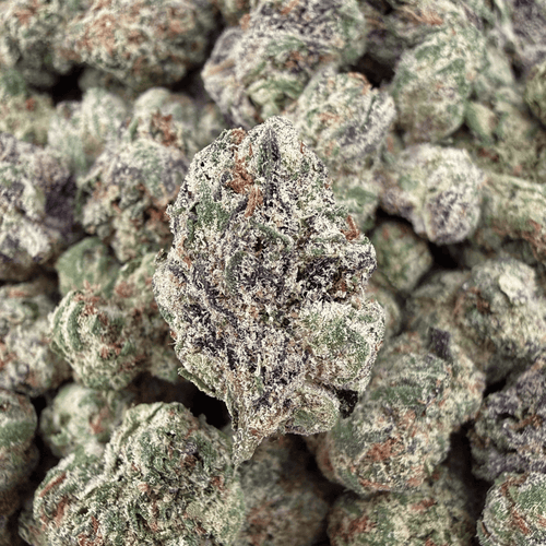 Galaxy Runtz THCa Smalls (Wholesale) - Valley Hemp