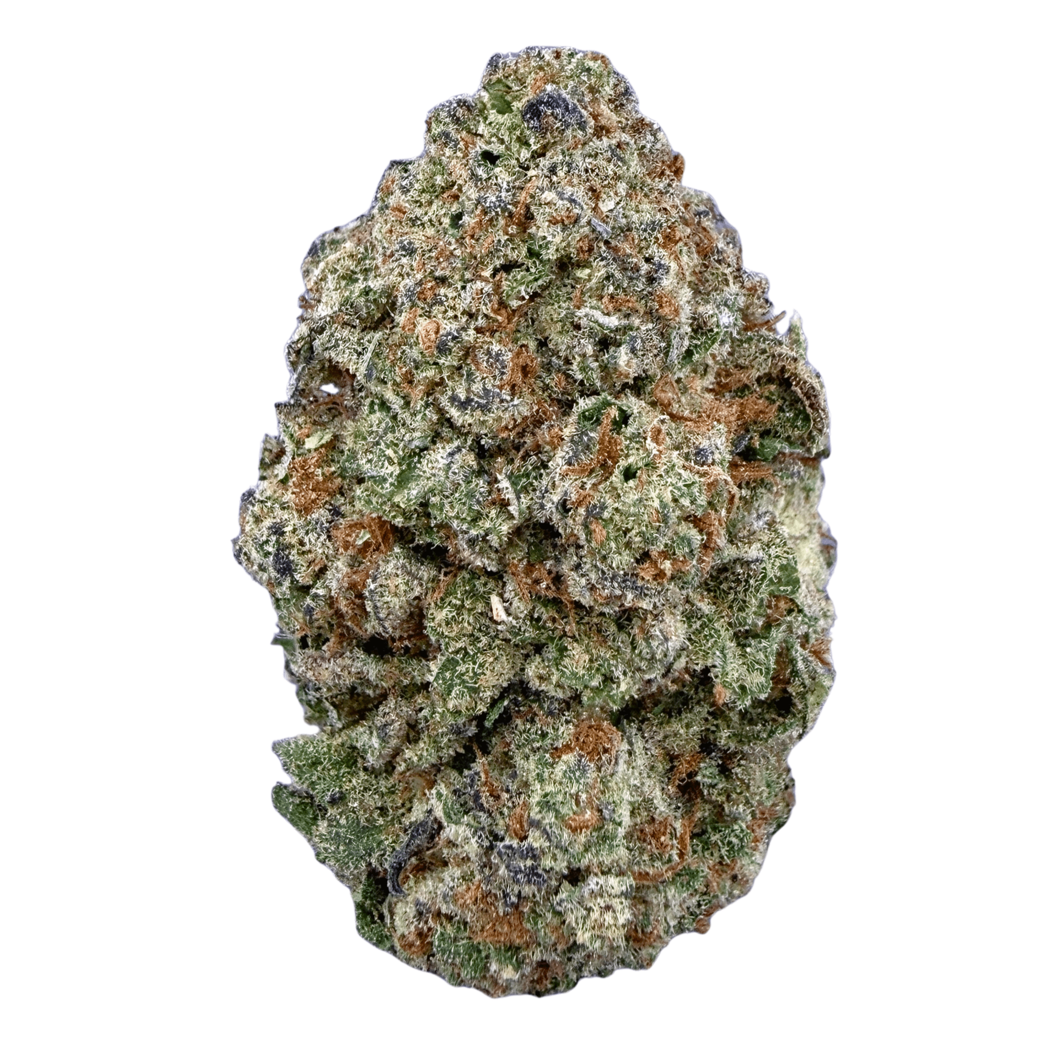 Galaxy Runtz (Wholesale) - Valley Hemp