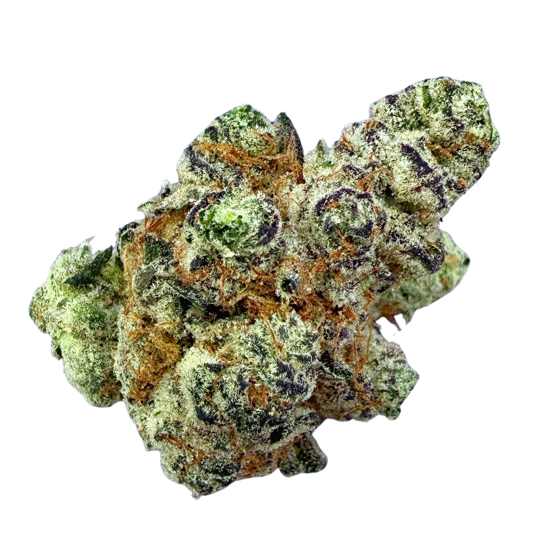 Garlicane (Wholesale) - Valley Hemp