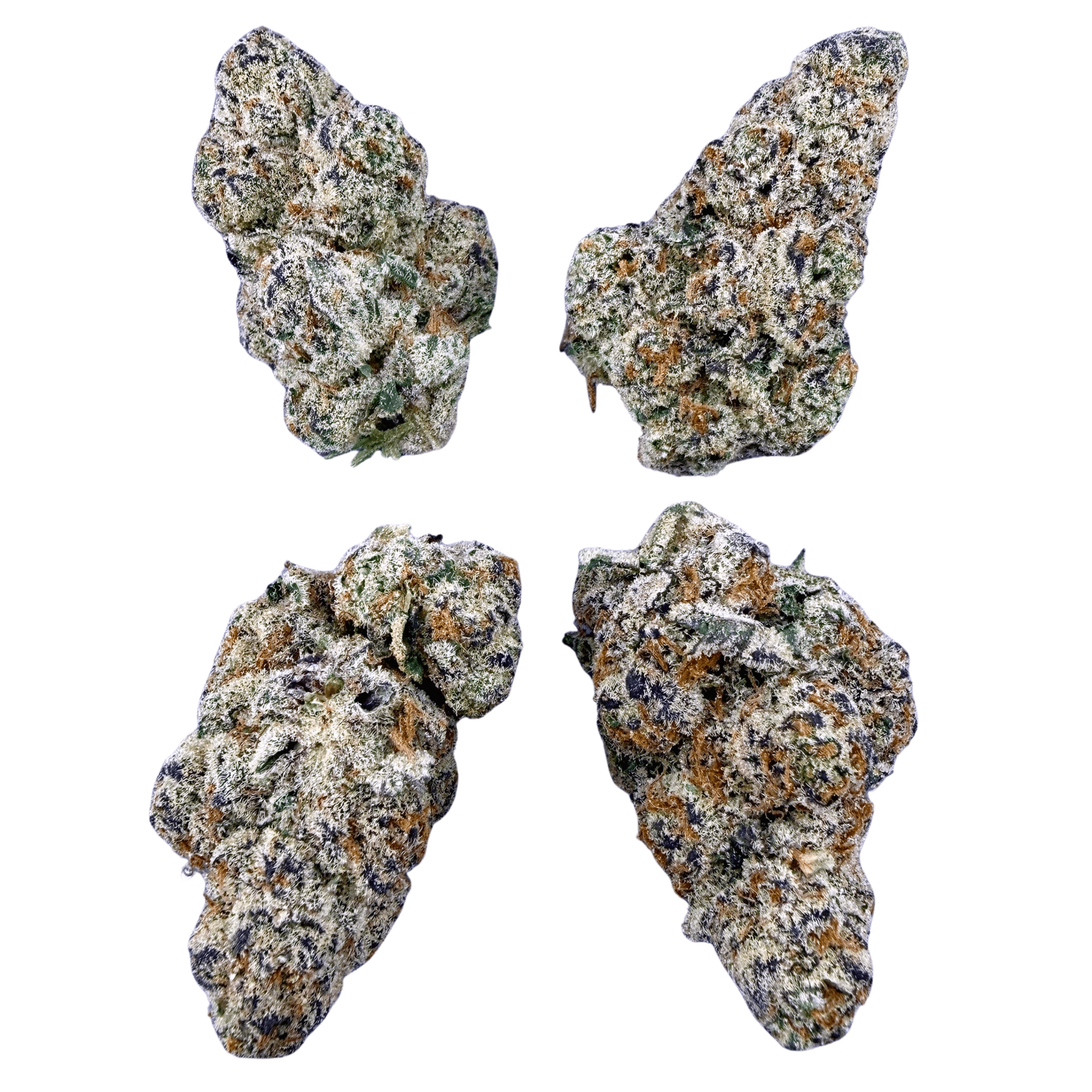 Garllcane (Wholesale) - Valley Hemp