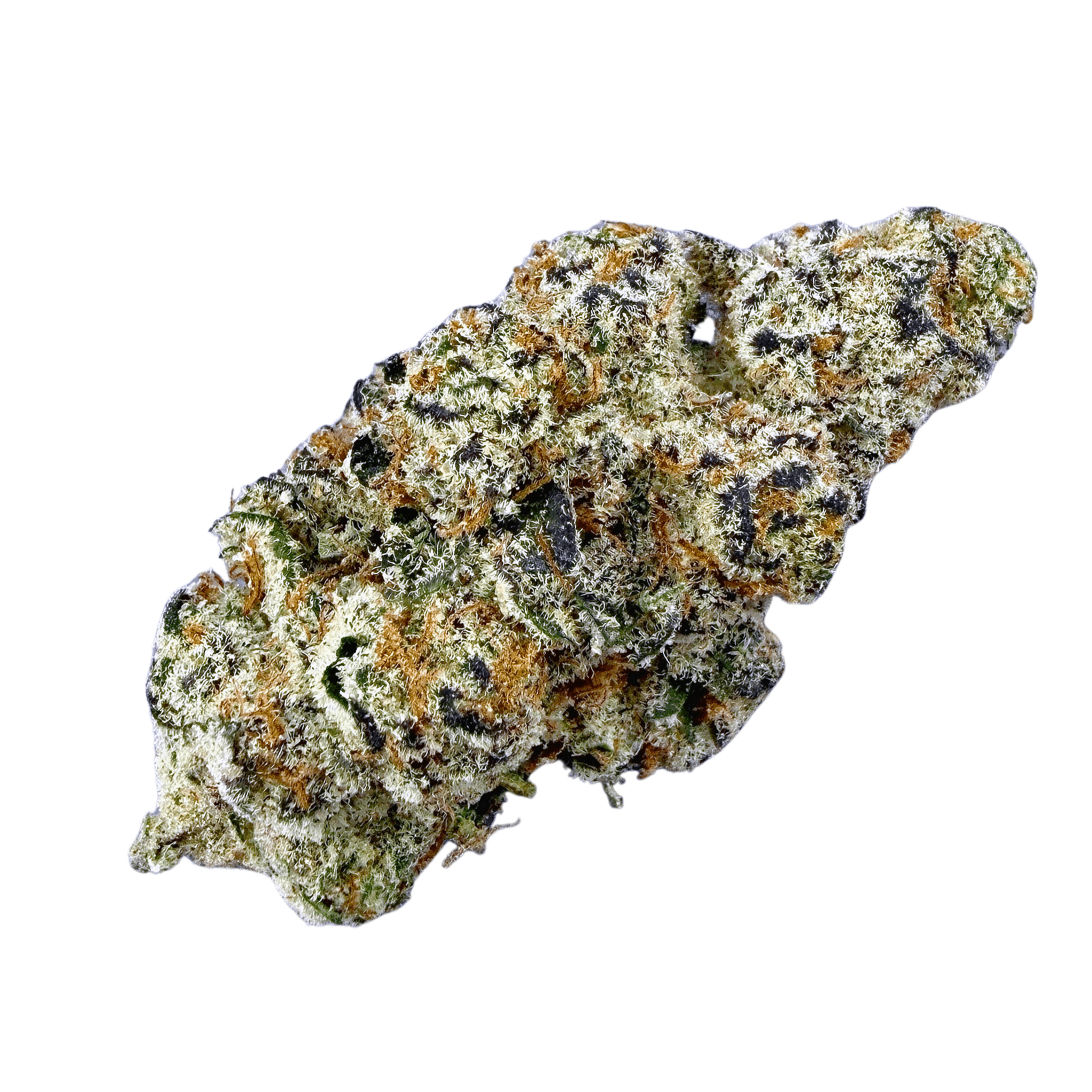 Garllcane (Wholesale) - Valley Hemp
