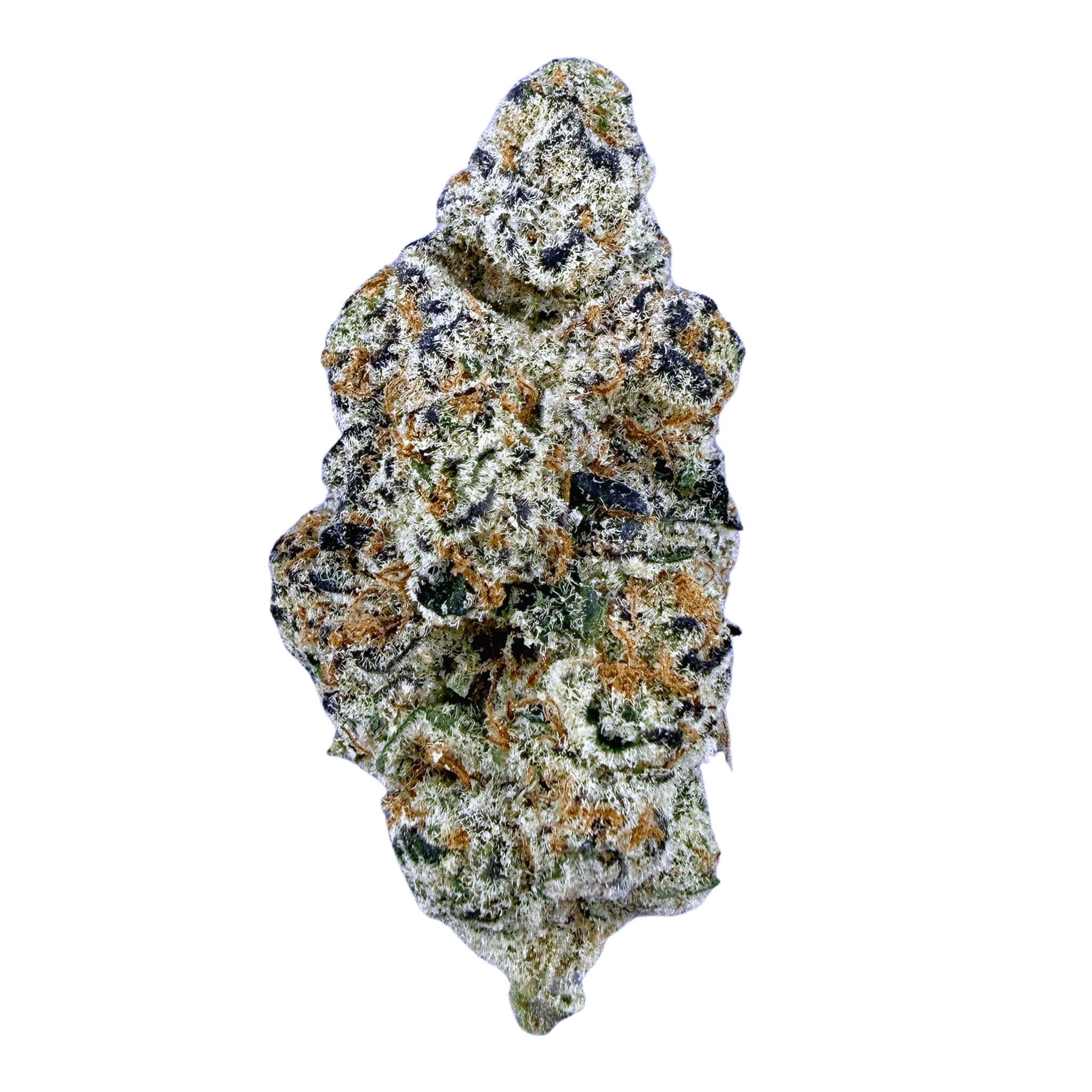 Garllcane (Wholesale) - Valley Hemp