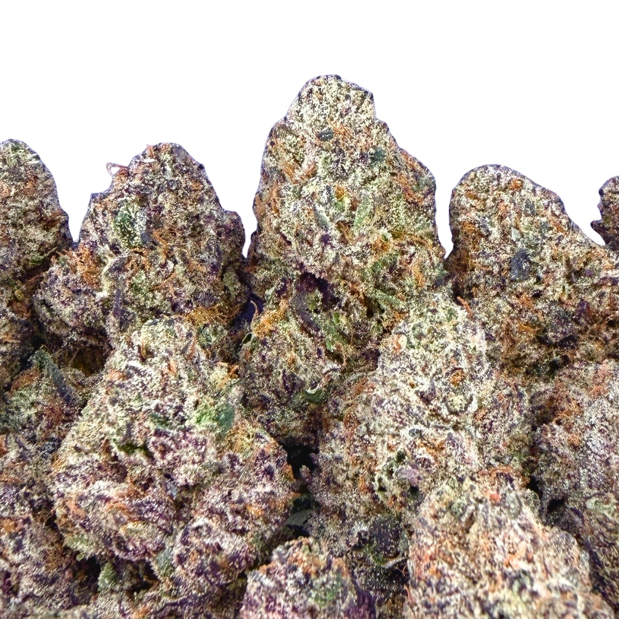 Gary Payton - Valley Hemp