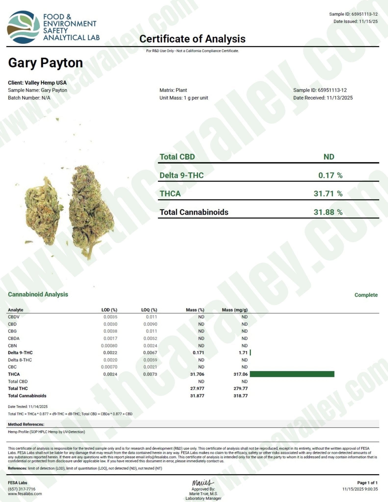 Gary Payton - Valley Hemp