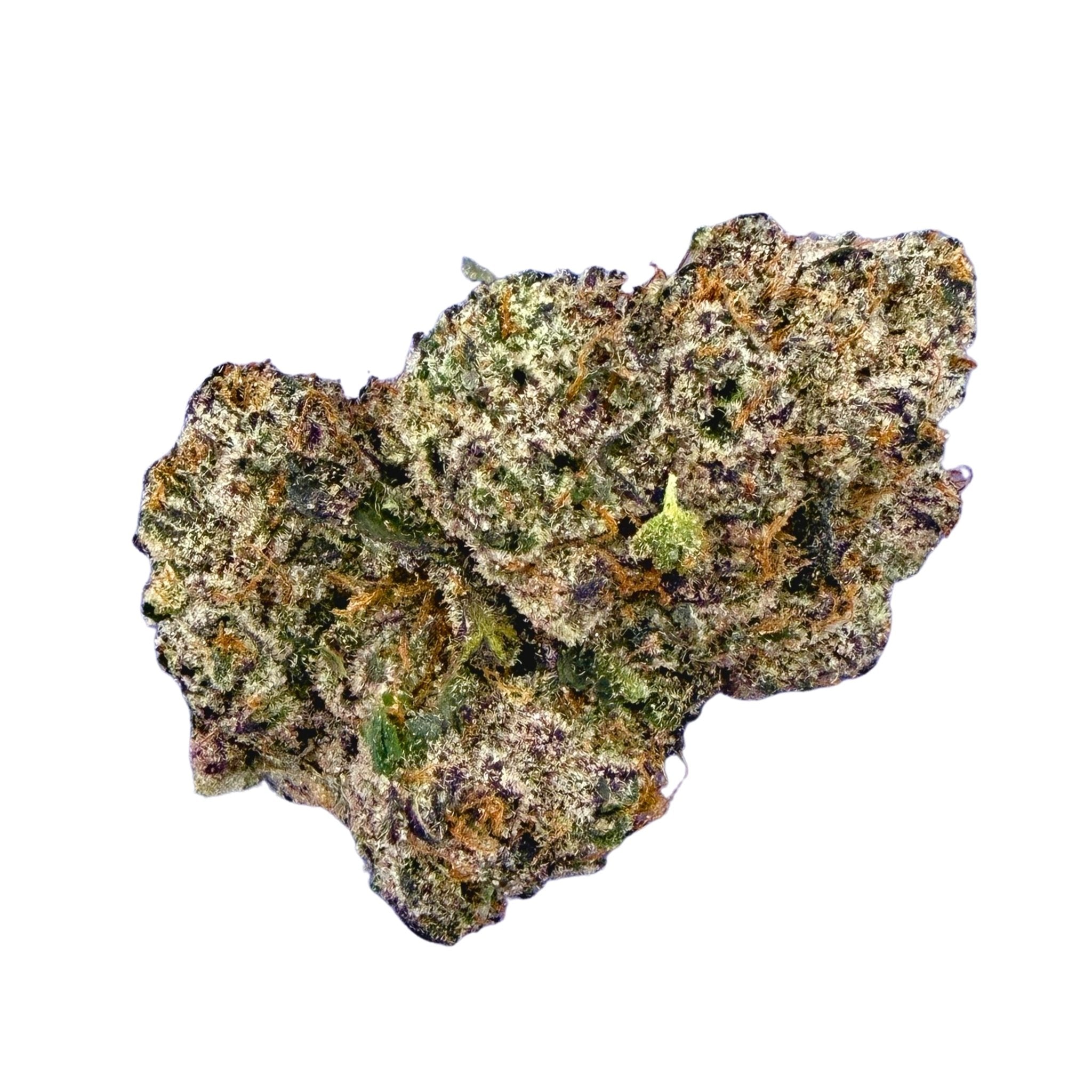 Gary Payton - Valley Hemp