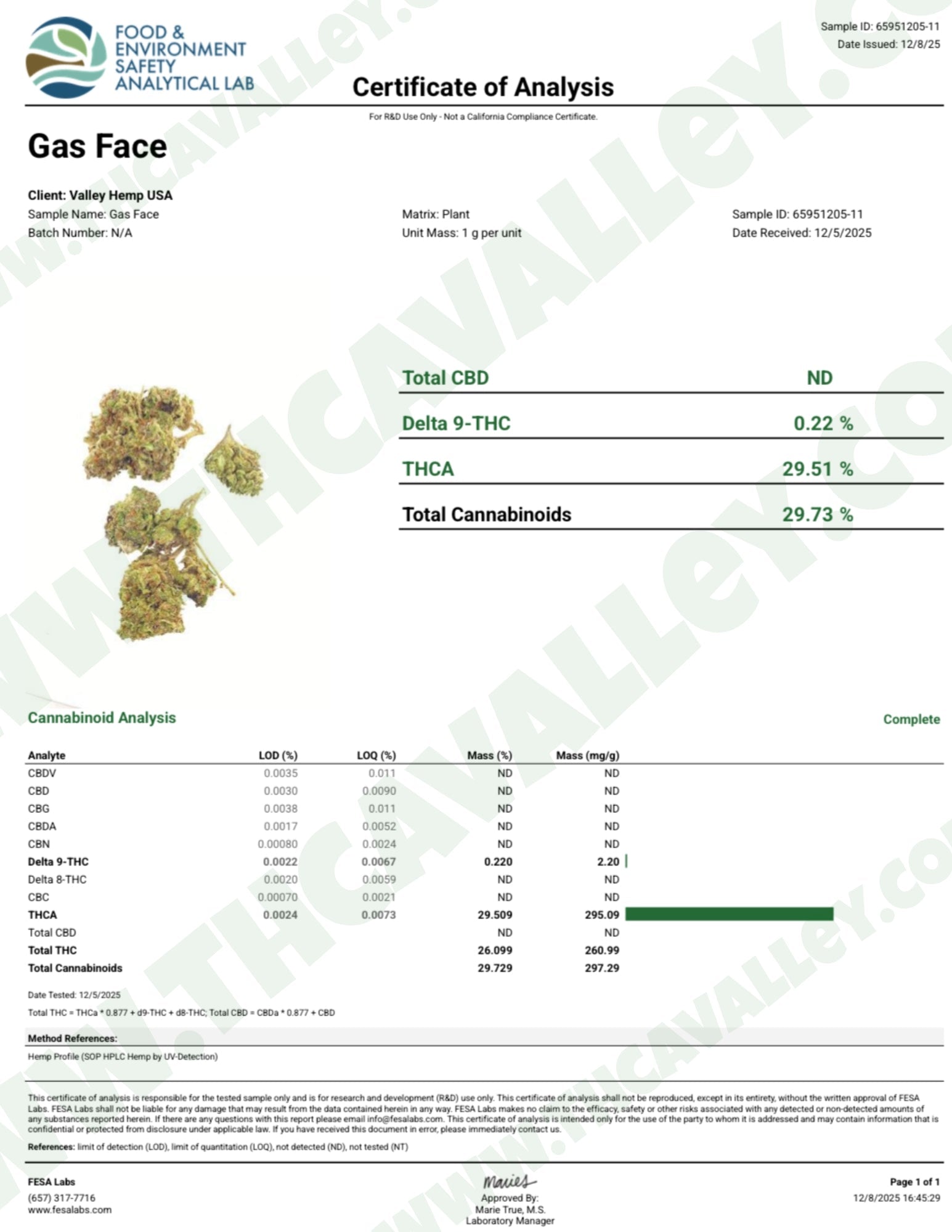 Gas Face - Valley Hemp