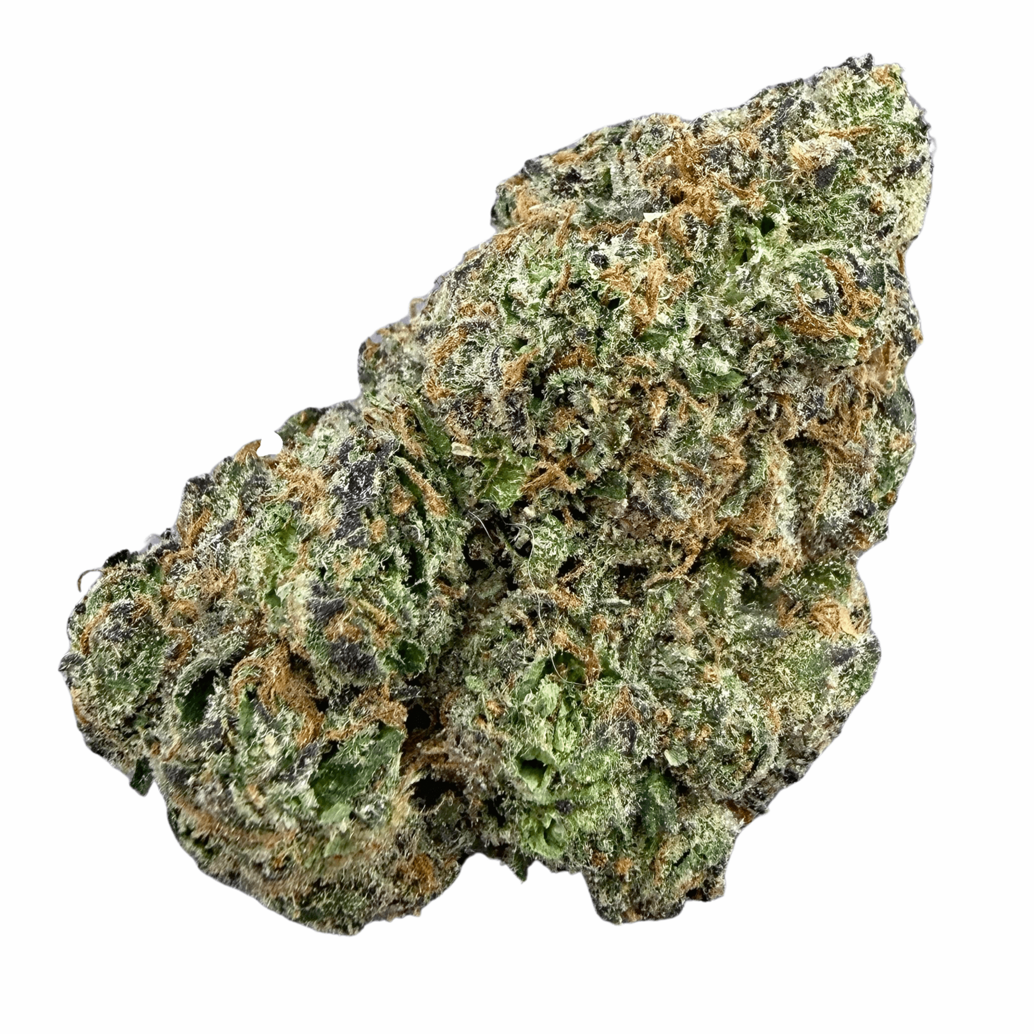 Gelato 33 (Wholesale) - Valley Hemp
