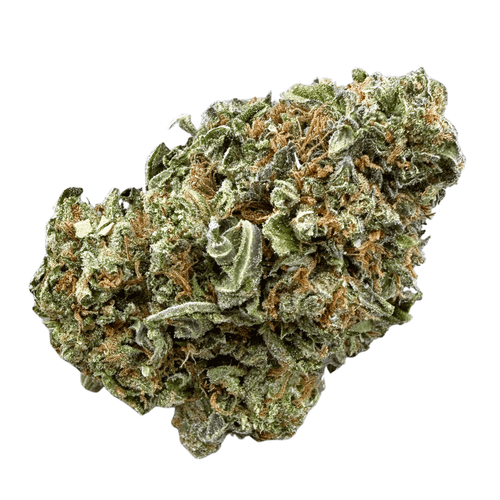 Gelato 33 (Wholesale) - Valley Hemp