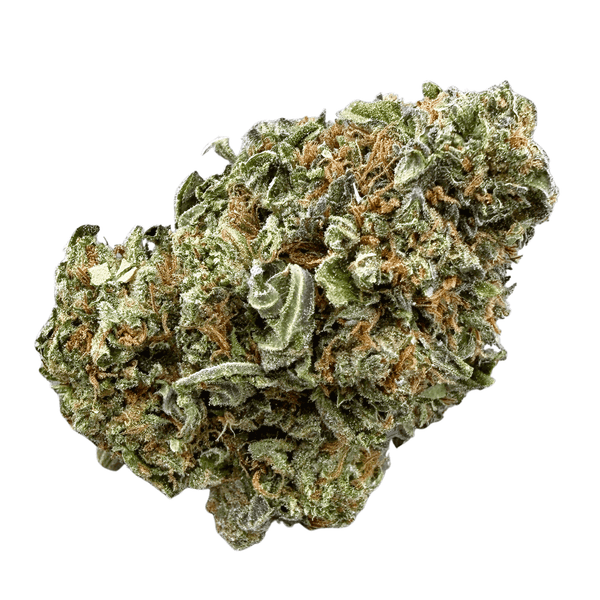 Gelato 33 (Wholesale) - Valley Hemp