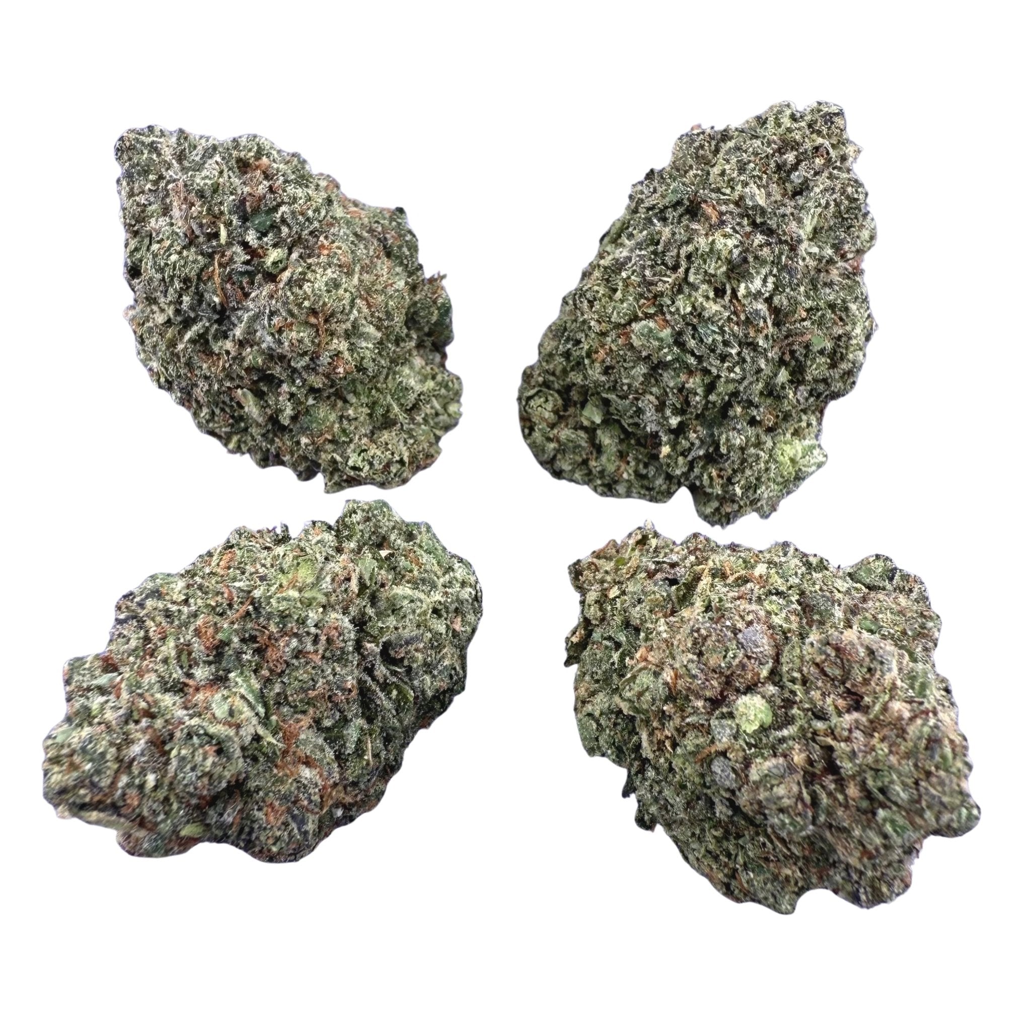 Gelato 33 ( Wholesale ) - Valley Hemp