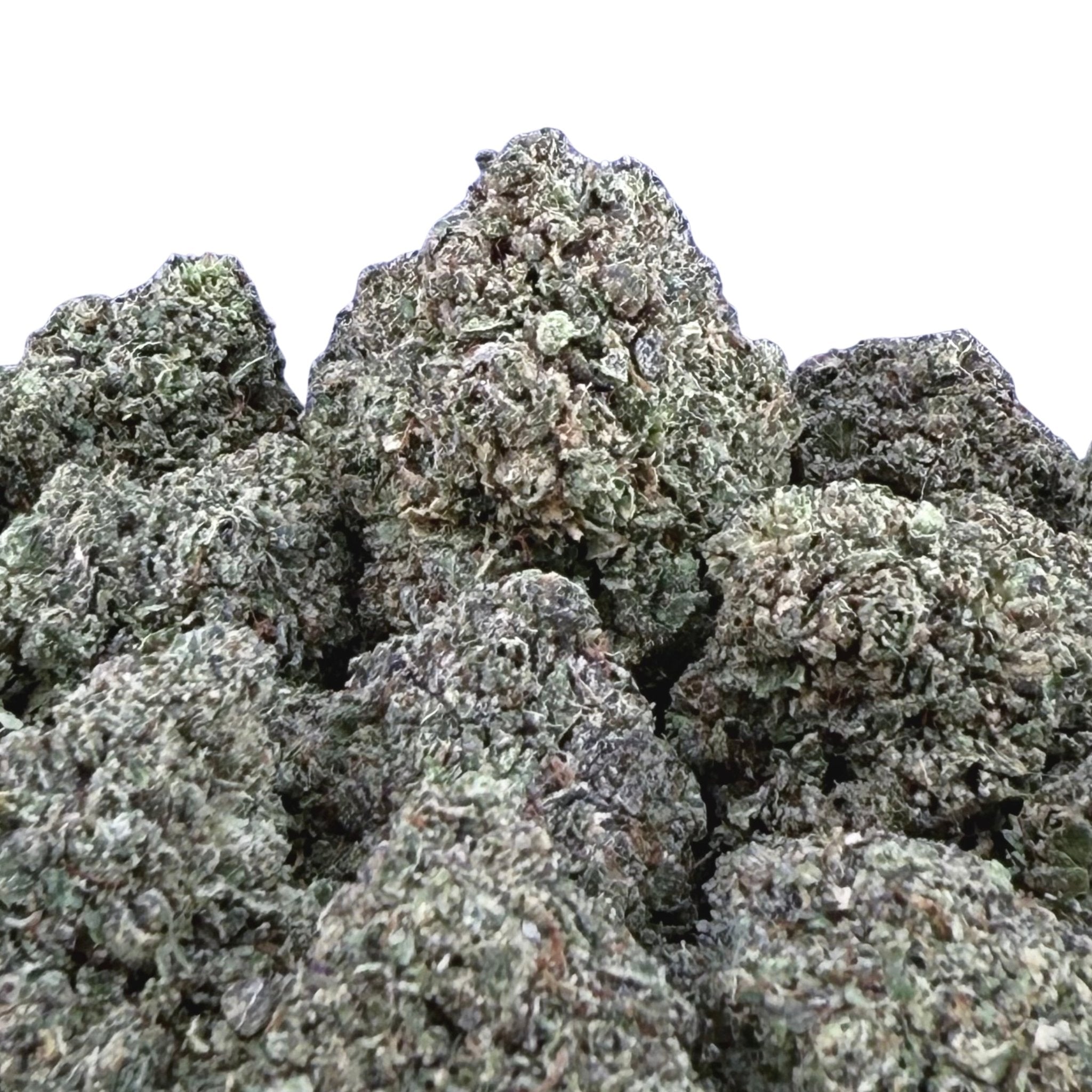 Gelato 33 ( Wholesale ) - Valley Hemp