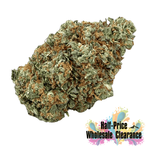 Gelato 41 (Half-Price Wholesale Clearance) - Valley Hemp