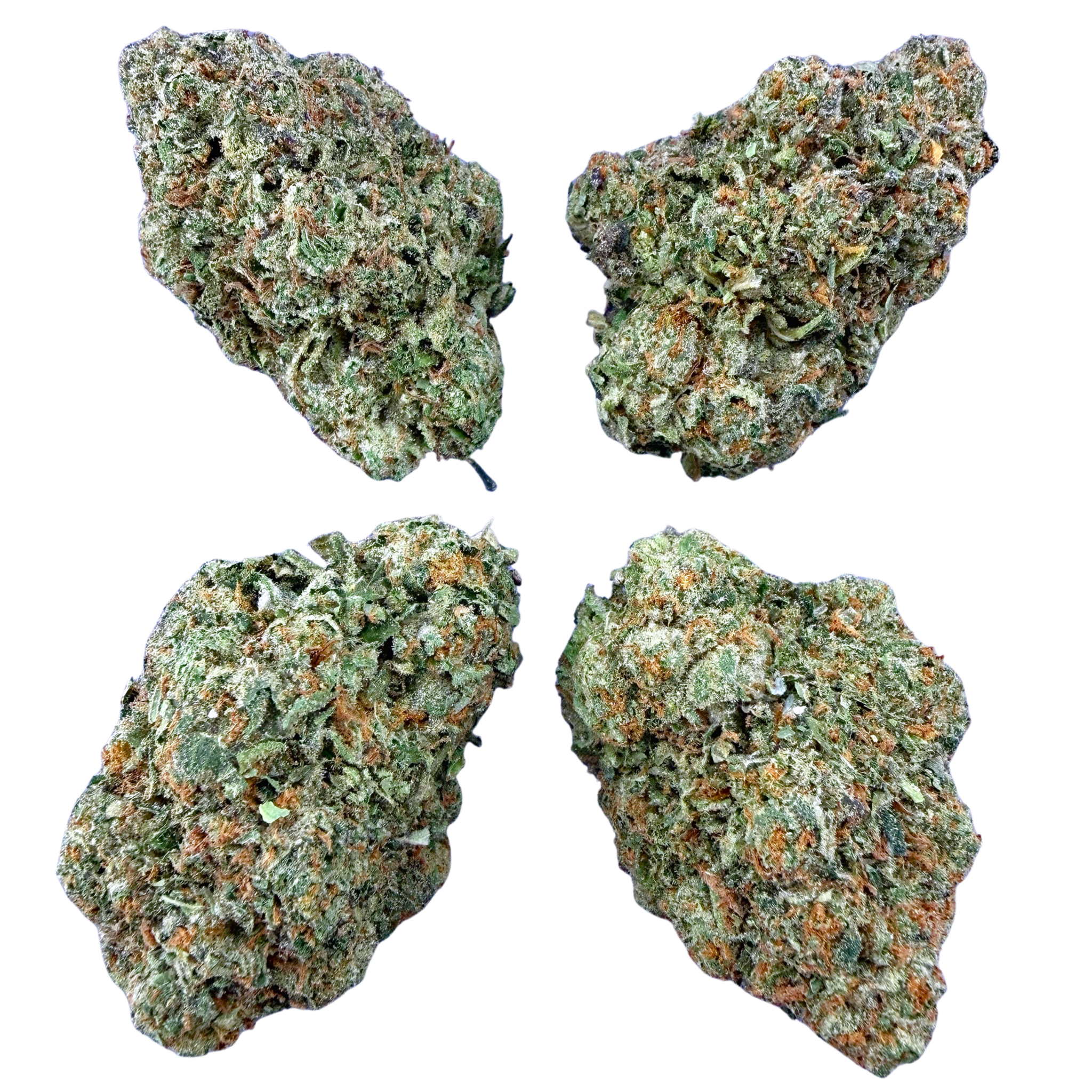 Gelato 41 (Wholesale) - Valley Hemp