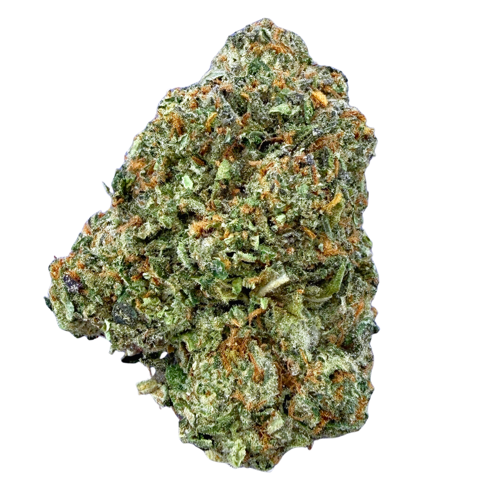 Gelato 41 (Wholesale) - Valley Hemp