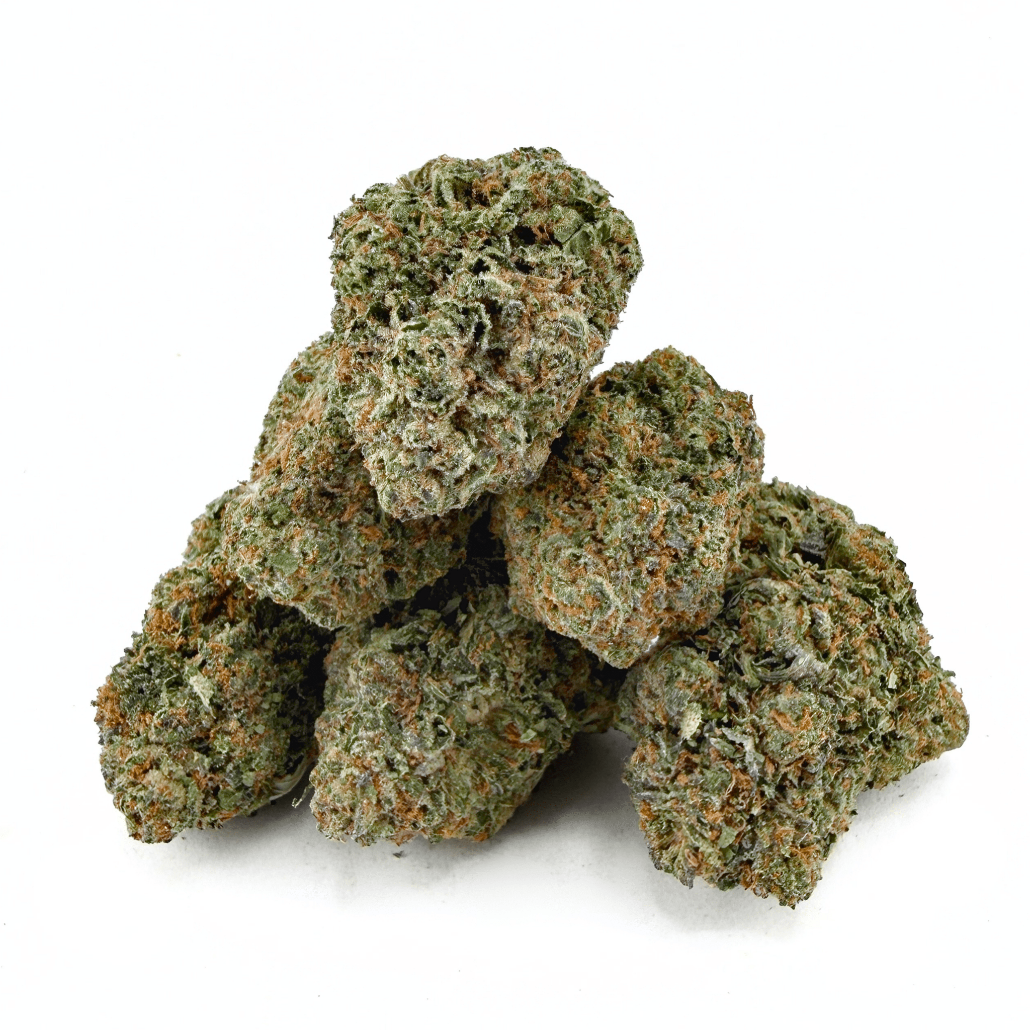 Gelato 41 (Wholesale) - Valley Hemp