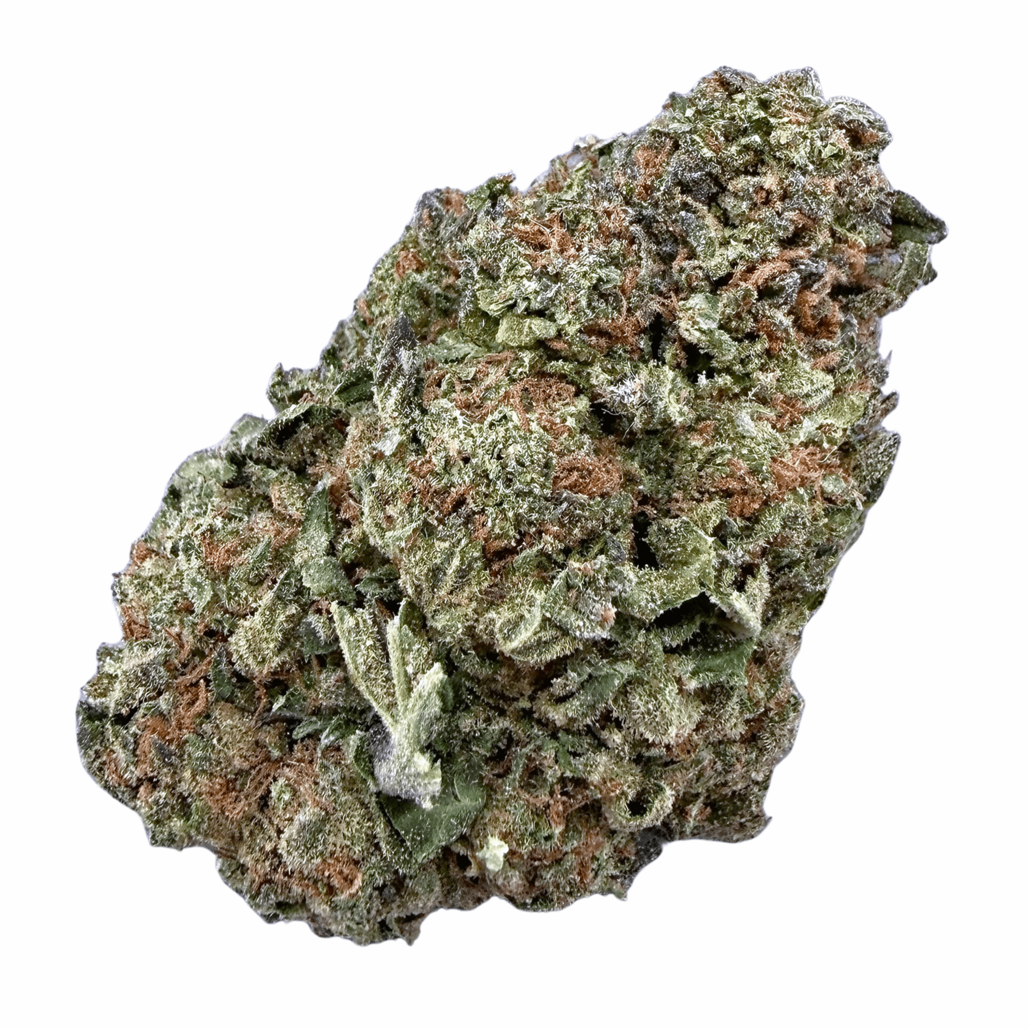 Gelato 41 (Wholesale) - Valley Hemp