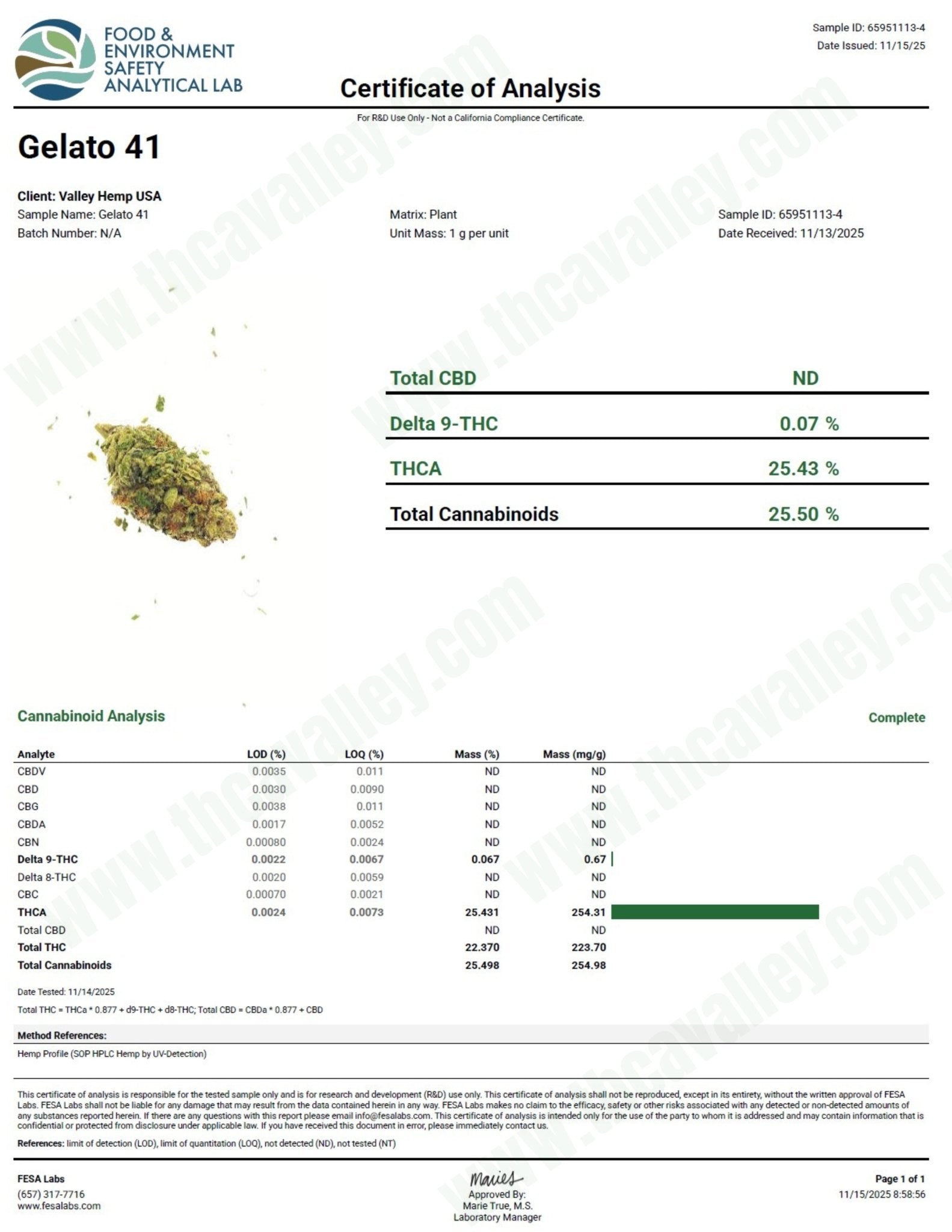 Gelato 41 (Wholesale) - Valley Hemp