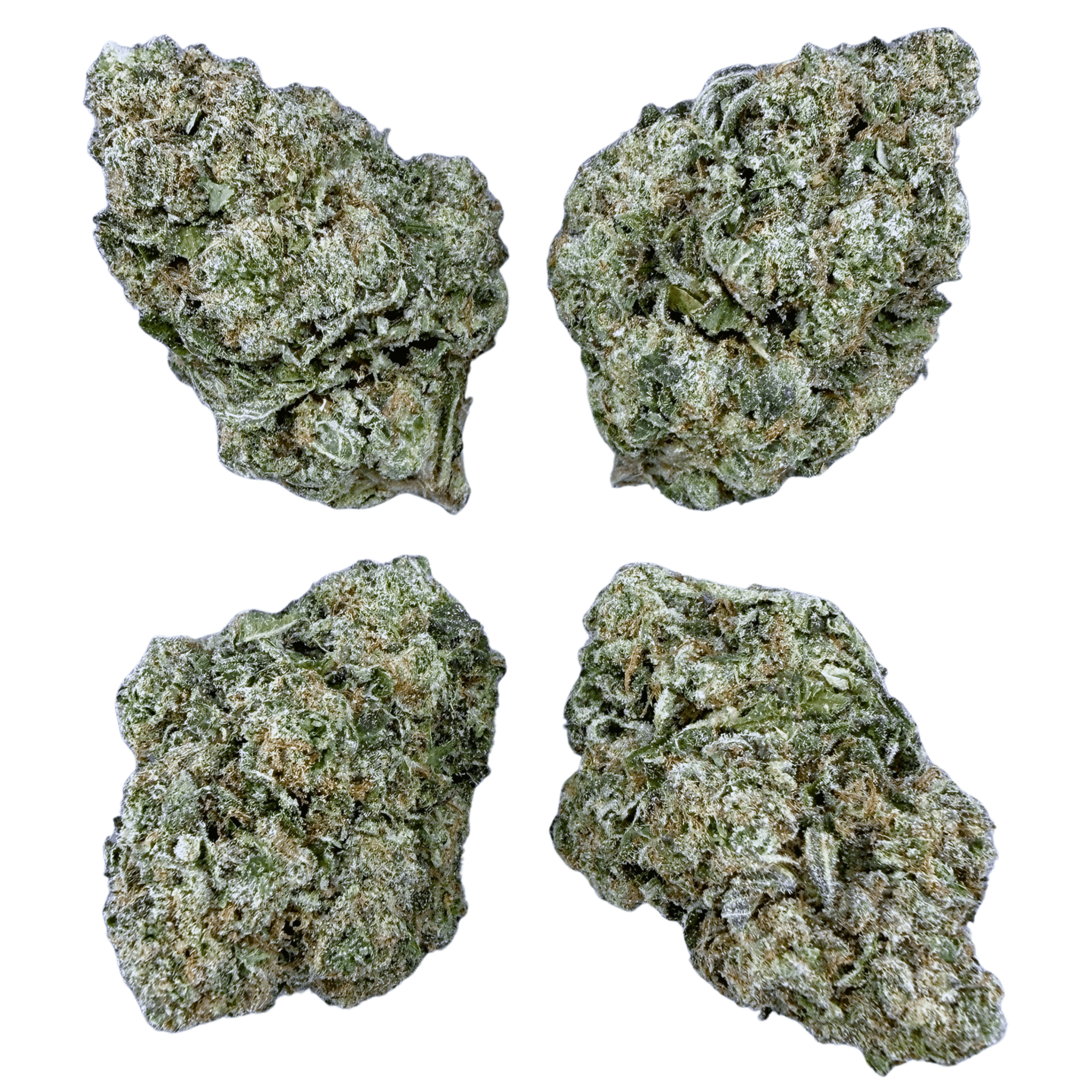 Gelato 45 - Valley Hemp