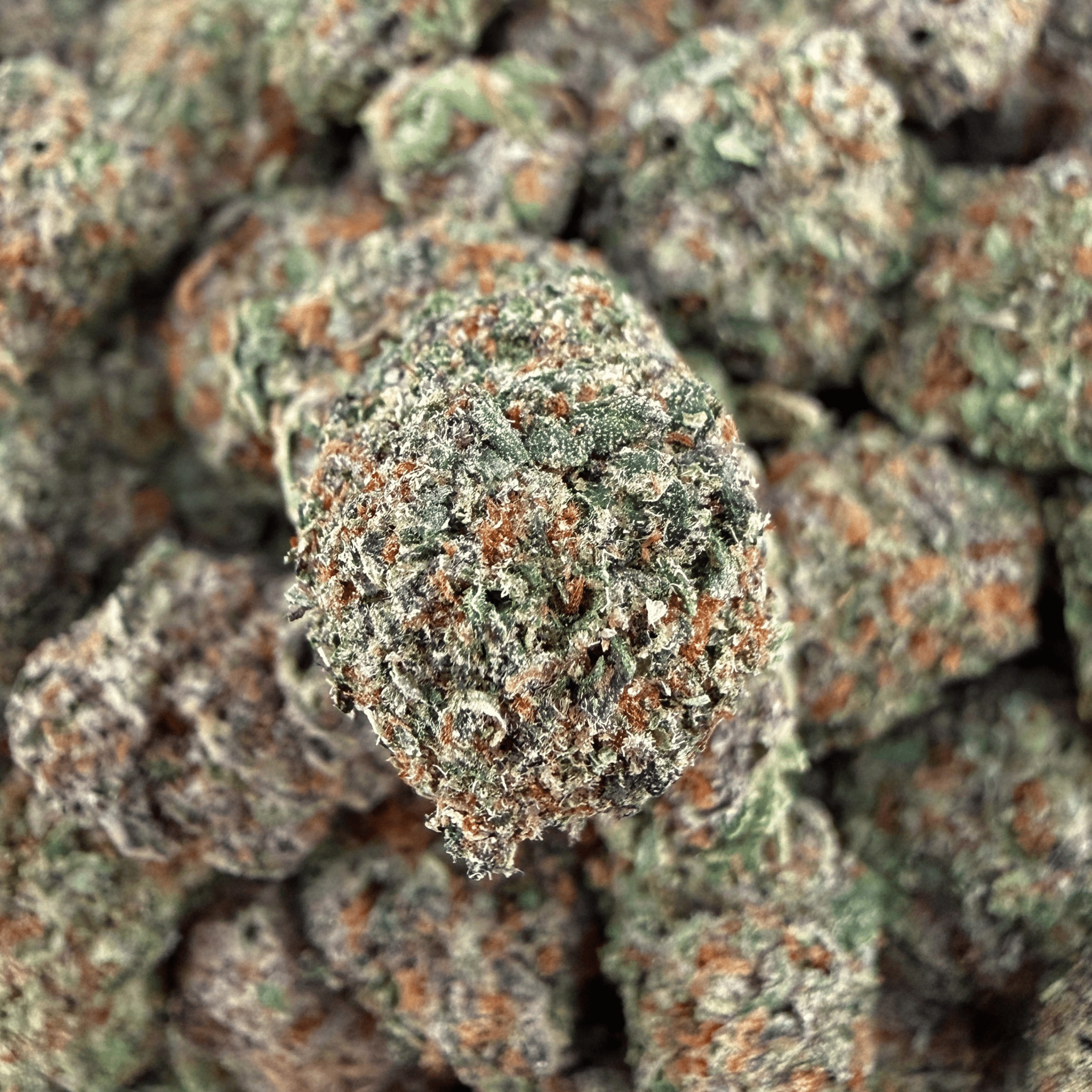 Gelato 45 THCa Smalls - Valley Hemp