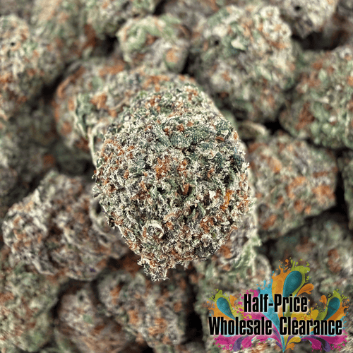 Gelato 45 THCa Smalls (Half-Price Wholesale Clearance) - Valley Hemp