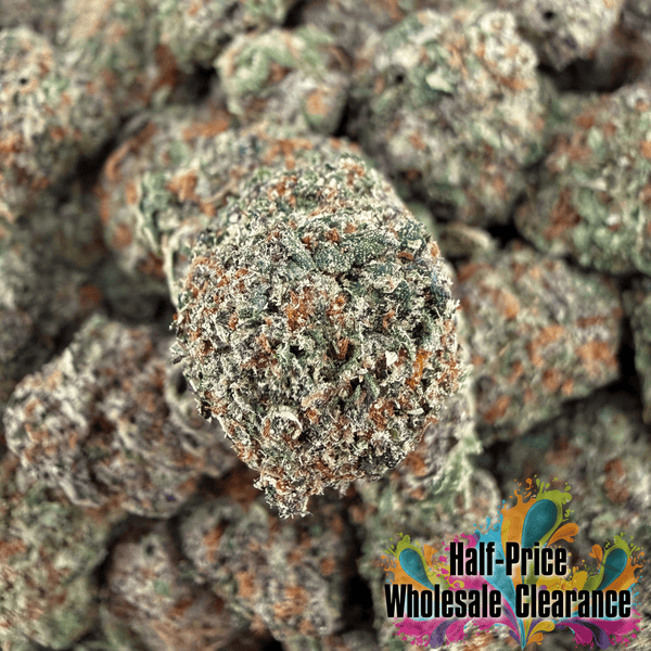 Gelato 45 THCa Smalls (Half-Price Wholesale Clearance) - Valley Hemp