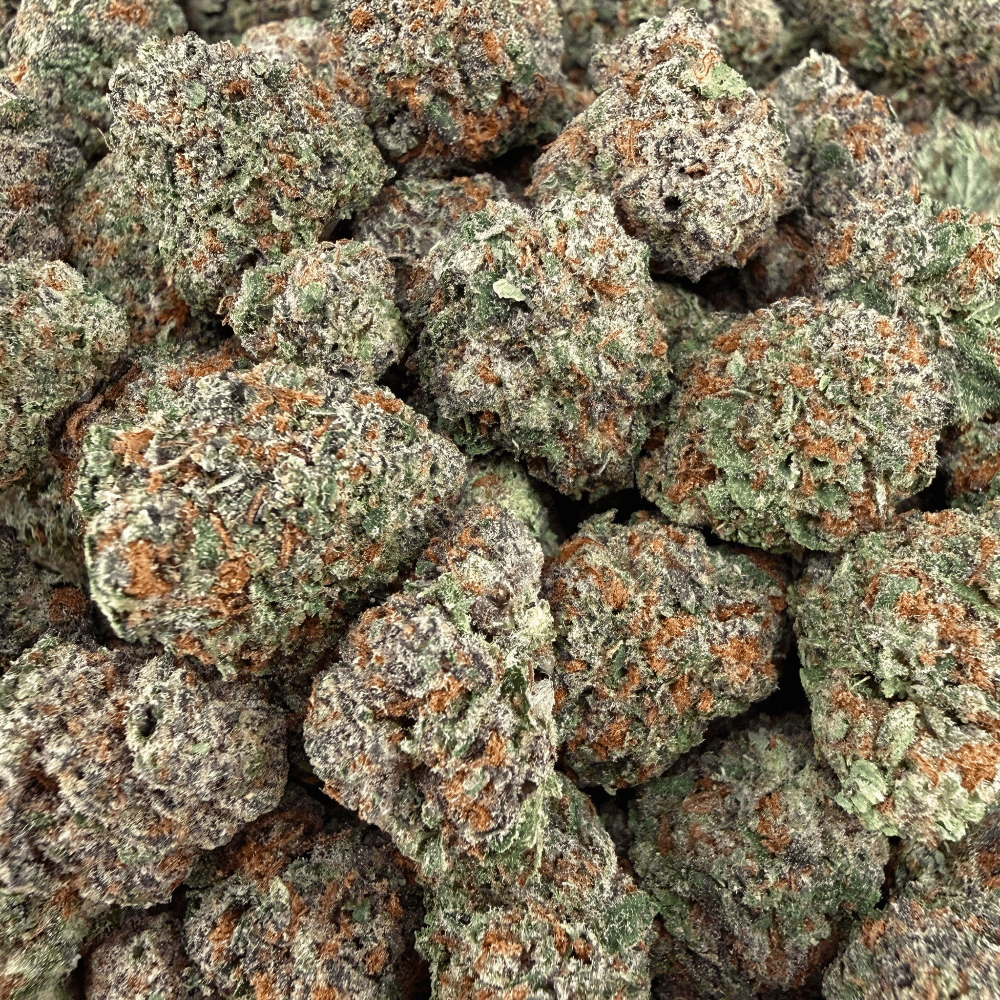 Gelato 45 THCa Smalls (Half-Price Wholesale Clearance) - Valley Hemp
