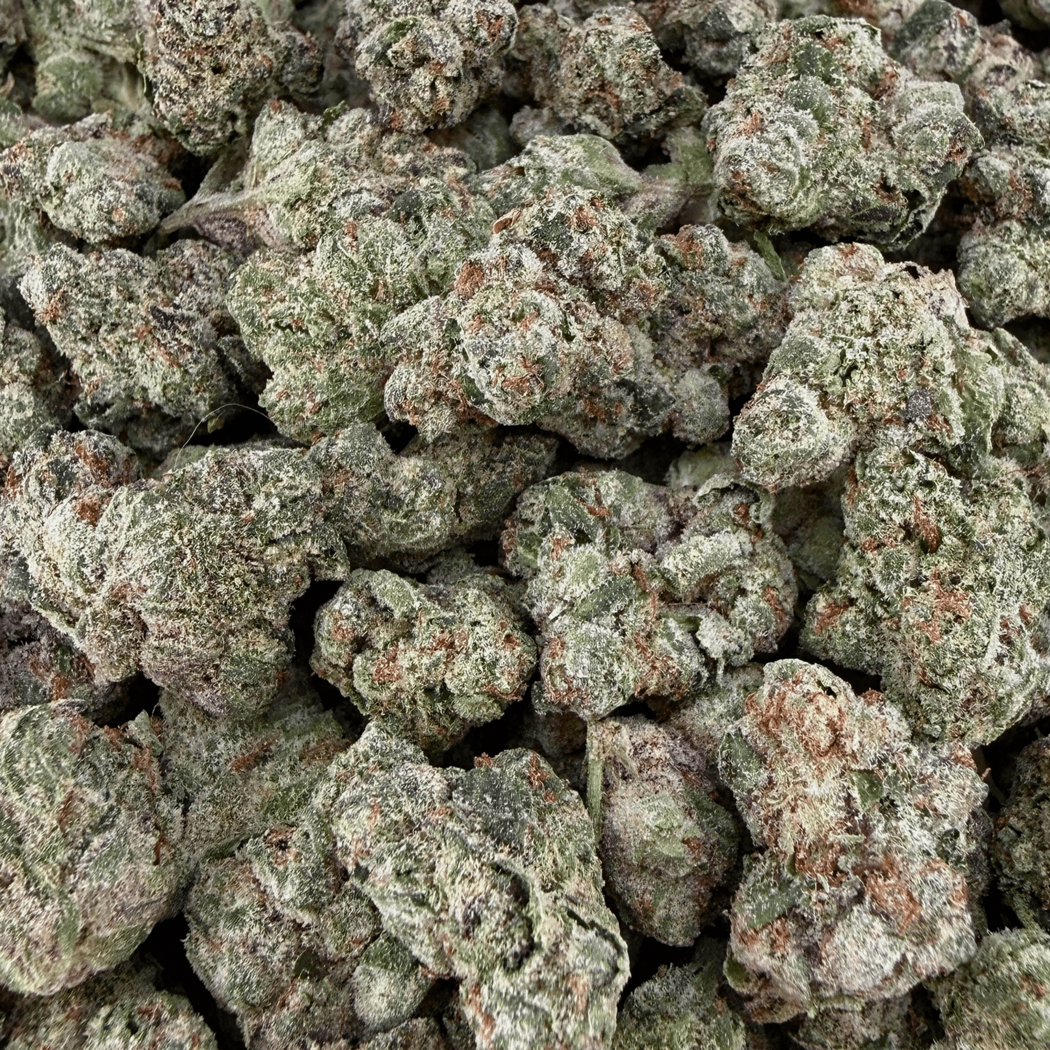 Gelato 45 THCa Smalls (Wholesale) - Valley Hemp