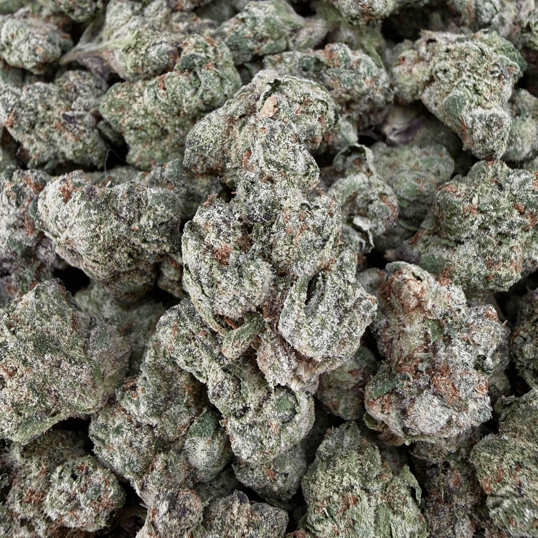 Gelato 45 THCa Smalls (Wholesale) - Valley Hemp