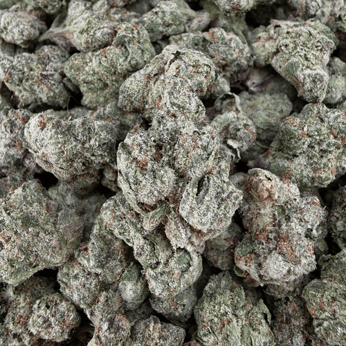 Gelato 45 THCa Smalls (Wholesale) - Valley Hemp