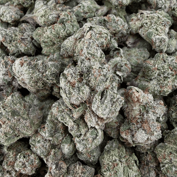 Gelato 45 THCa Smalls (Wholesale) - Valley Hemp