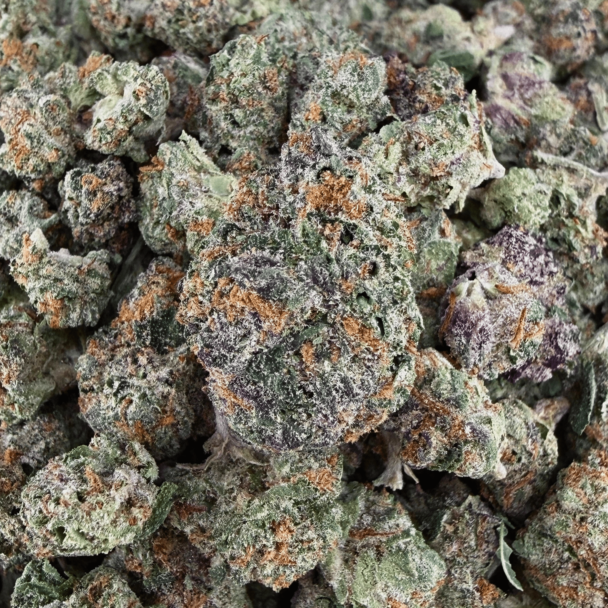 Gelato 45 THCa Smalls (Wholesale) - Valley Hemp