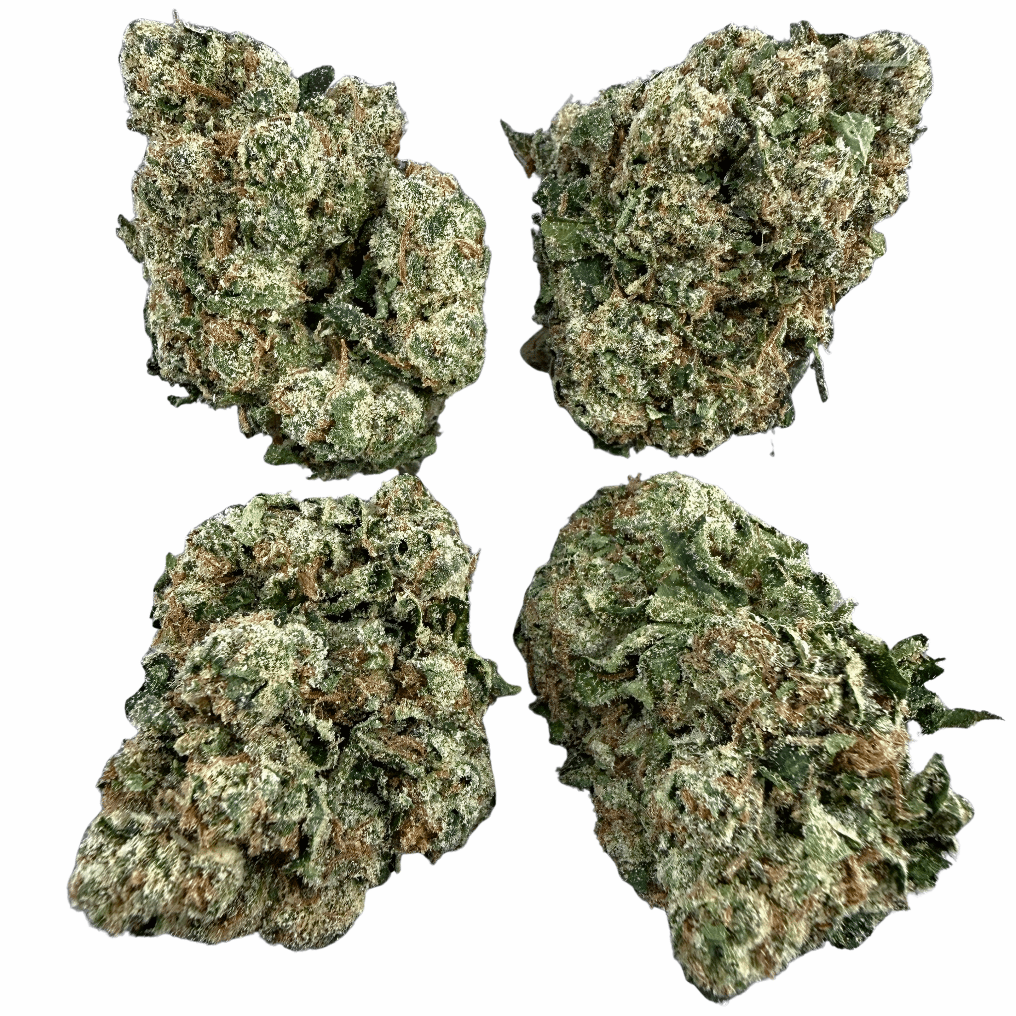 Gelatti - Valley Hemp