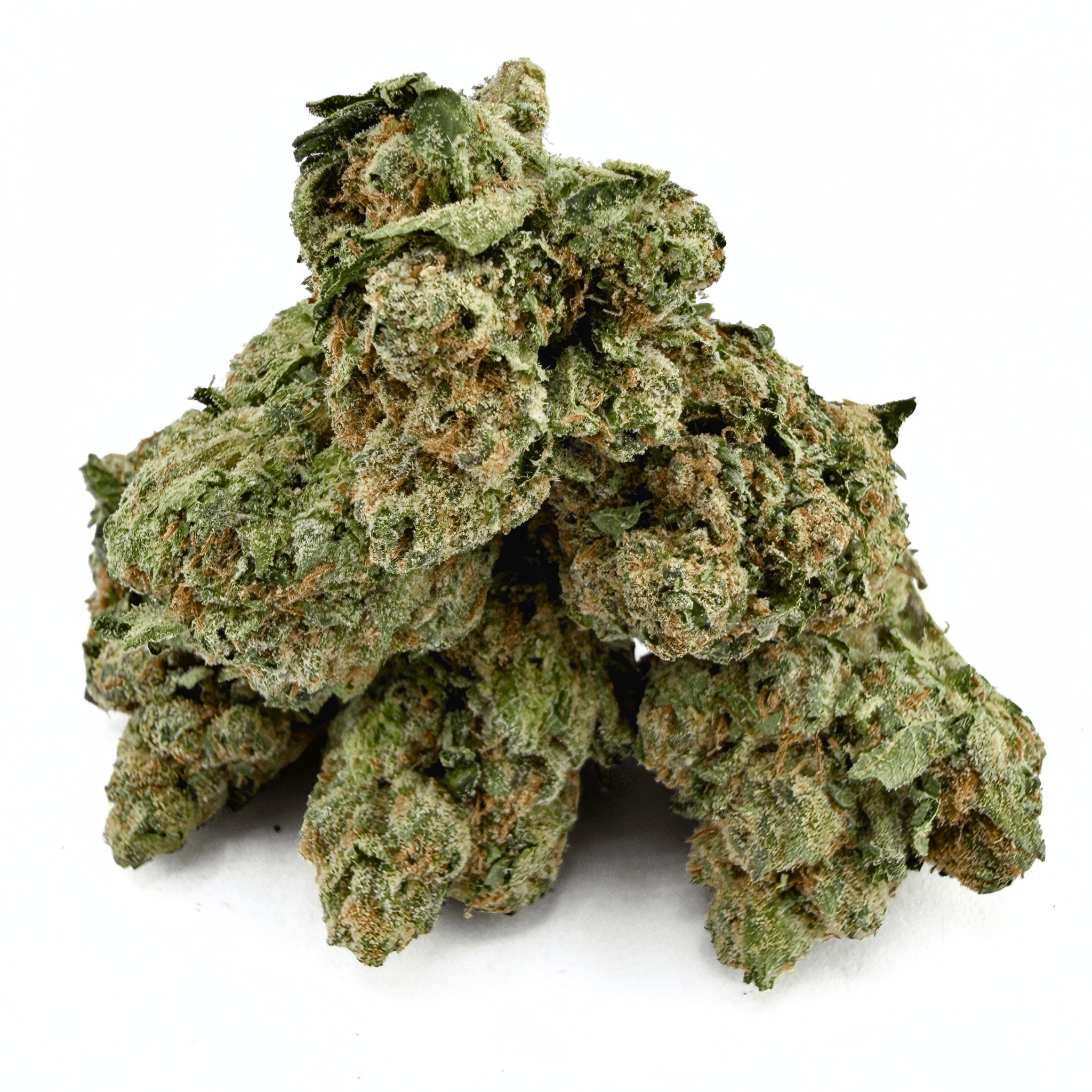 Gelatti - Valley Hemp