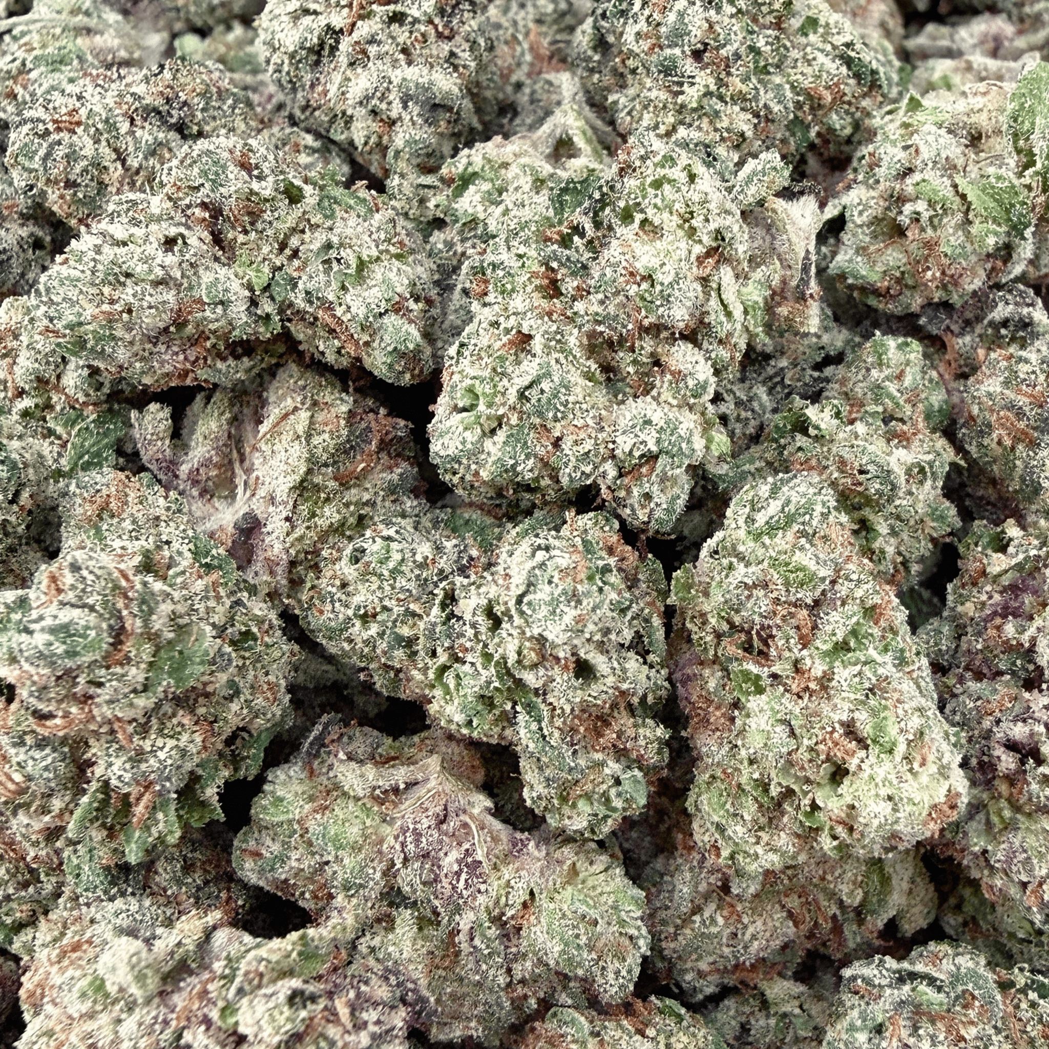 Gelatti THCa Smalls (Wholesale) - Valley Hemp