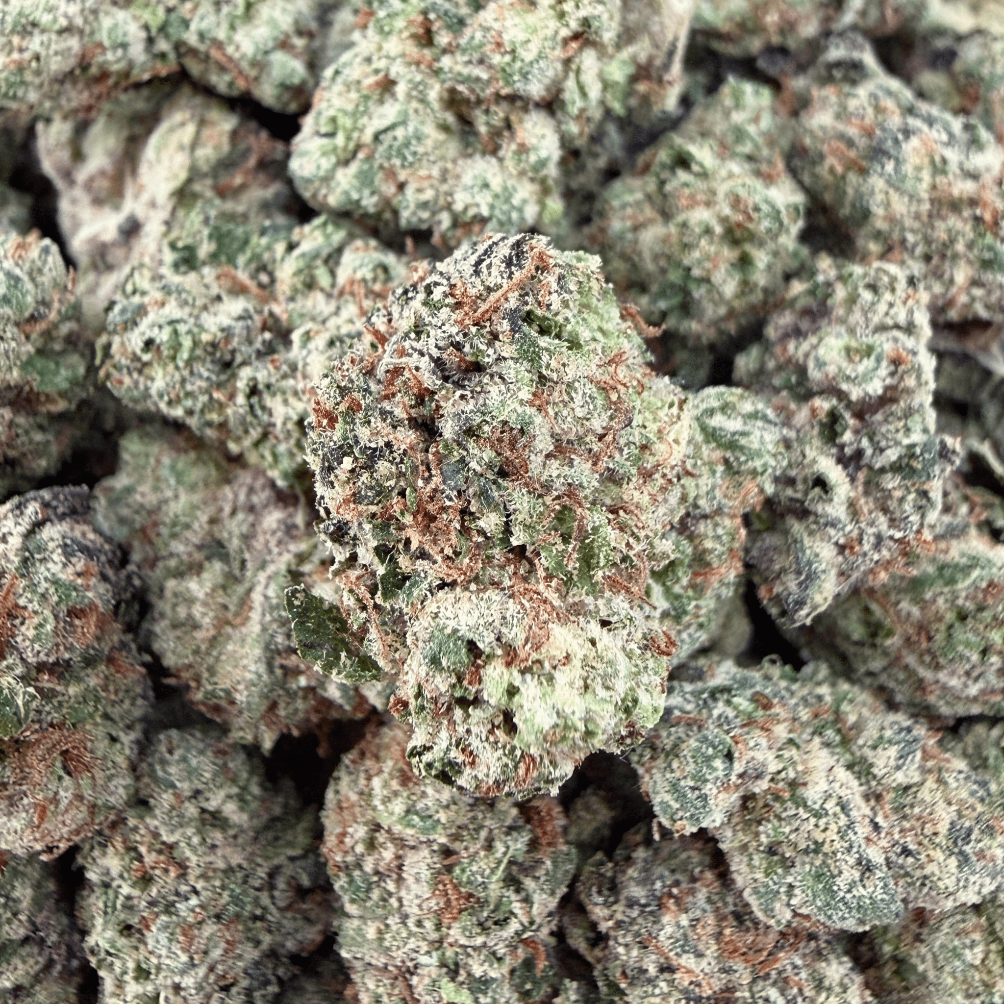 Gelatti THCa Smalls (Wholesale) - Valley Hemp
