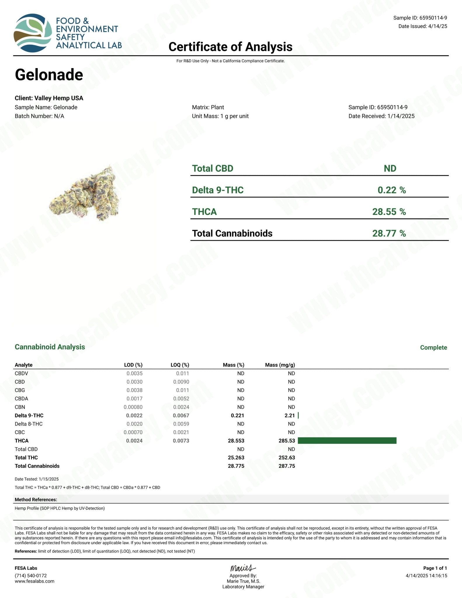 Gelonade - Valley Hemp