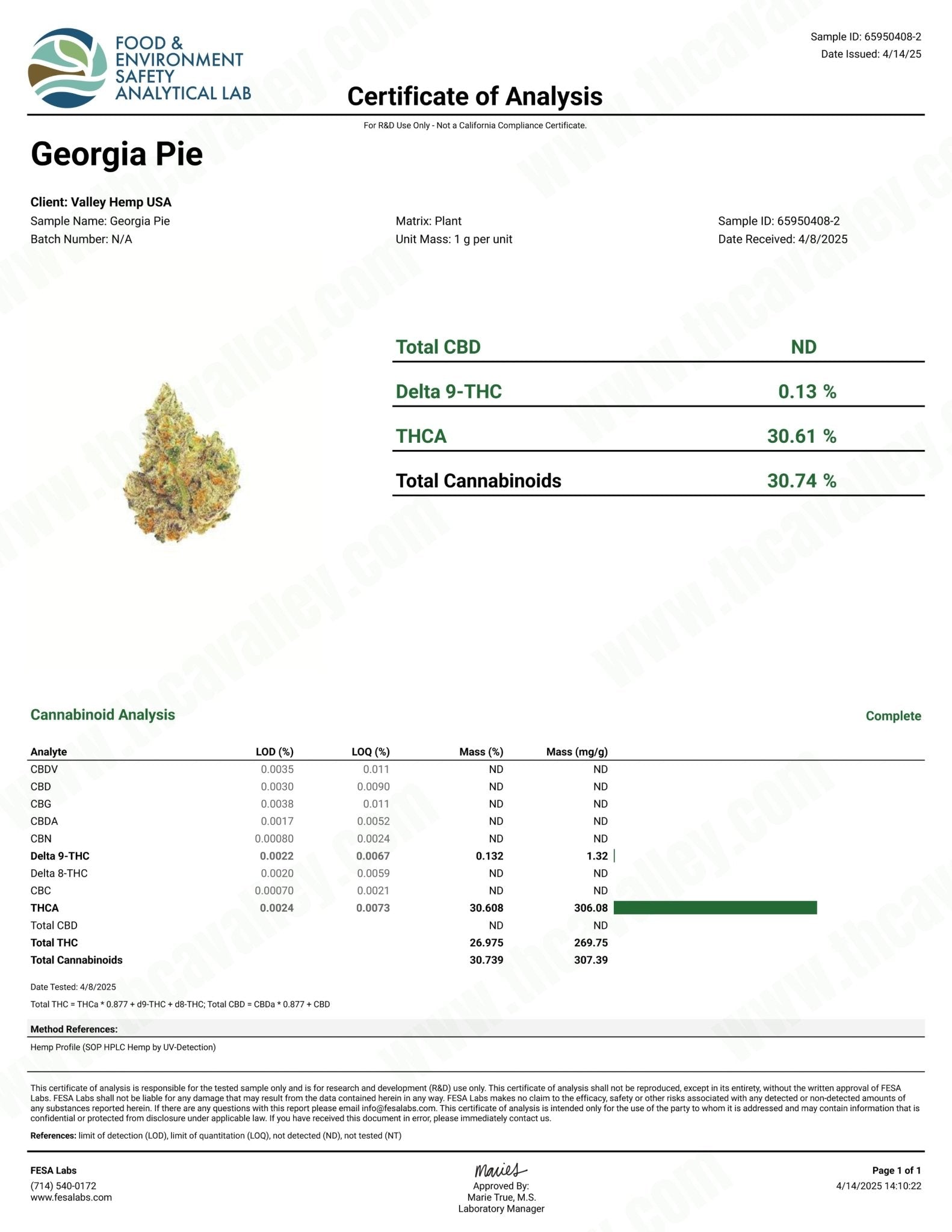 Georgia Pie - Valley Hemp
