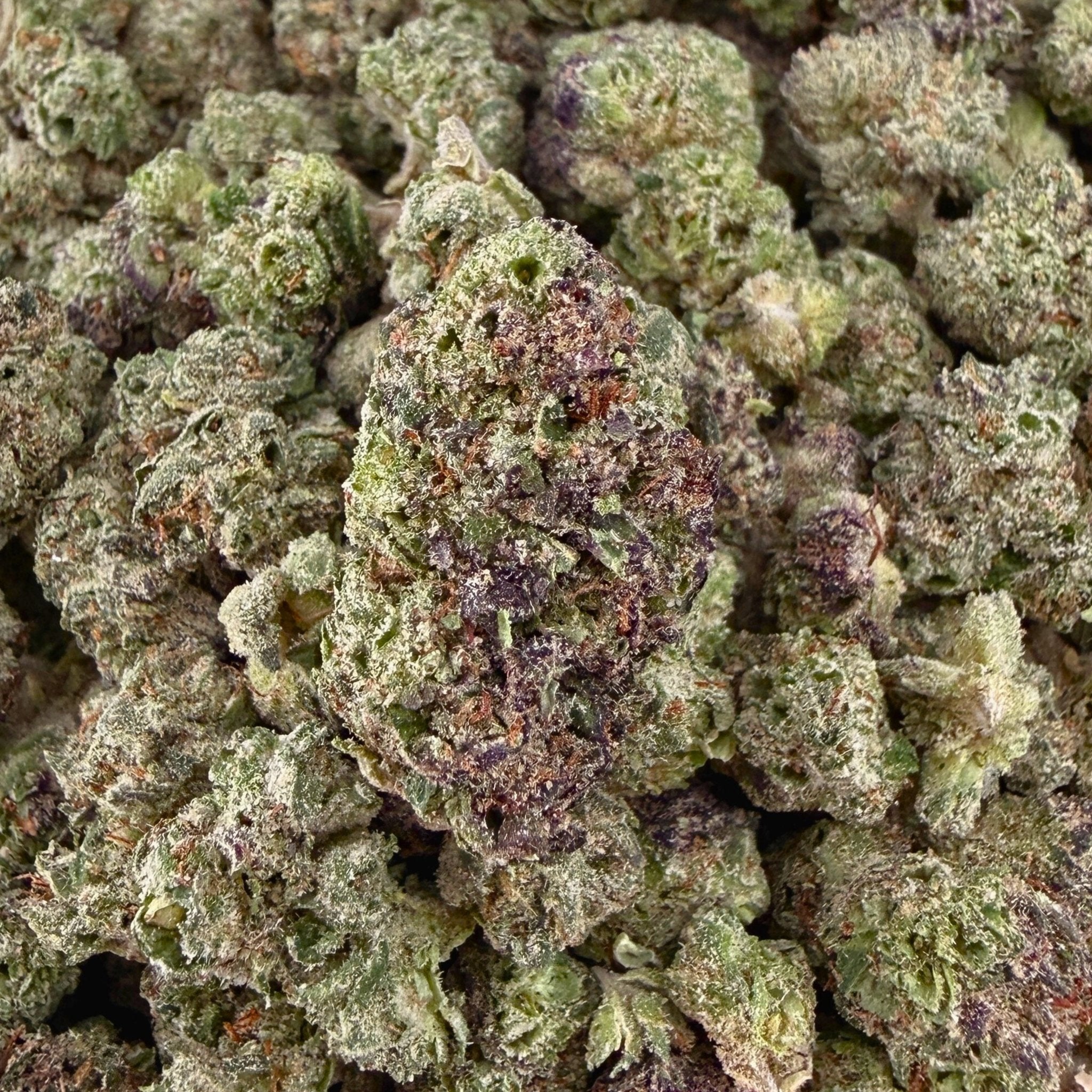 Girl Scout Cookies THCa Exotic Smalls - Valley Hemp