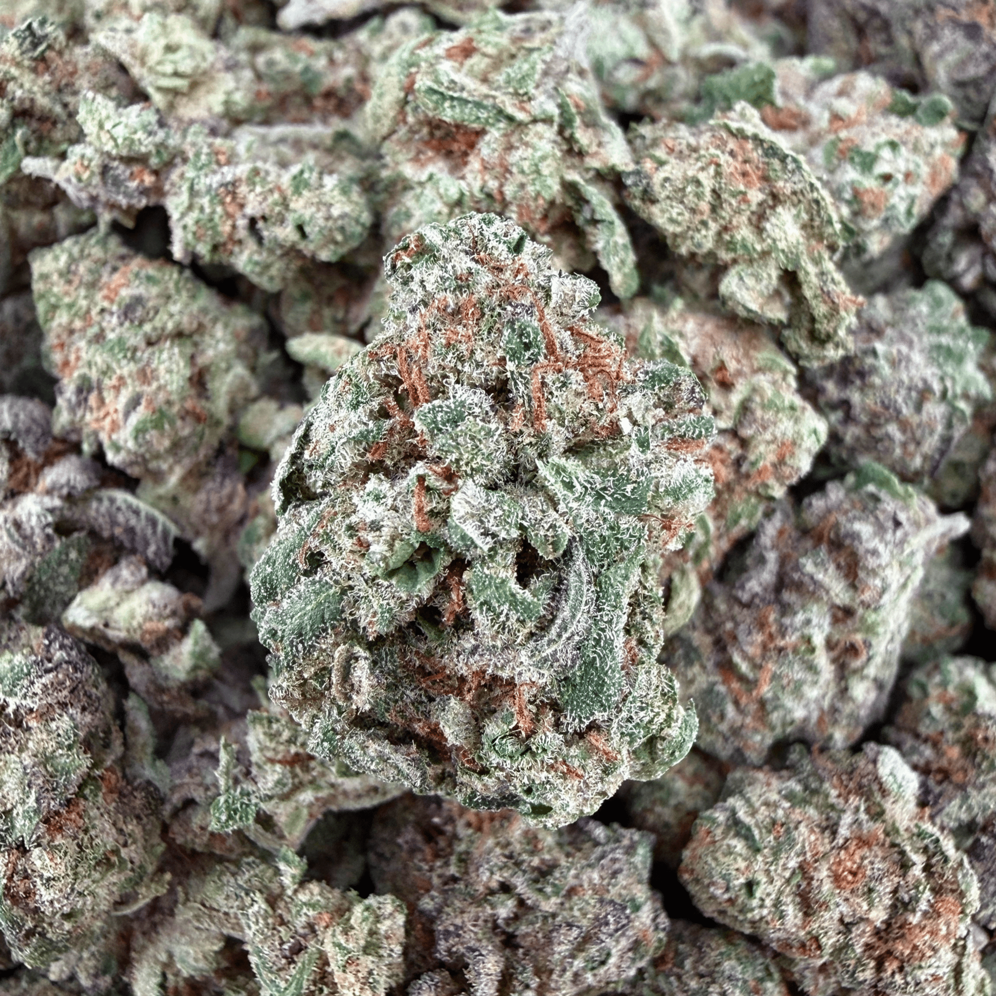 Glitter Bomb THCa Smalls - Valley Hemp