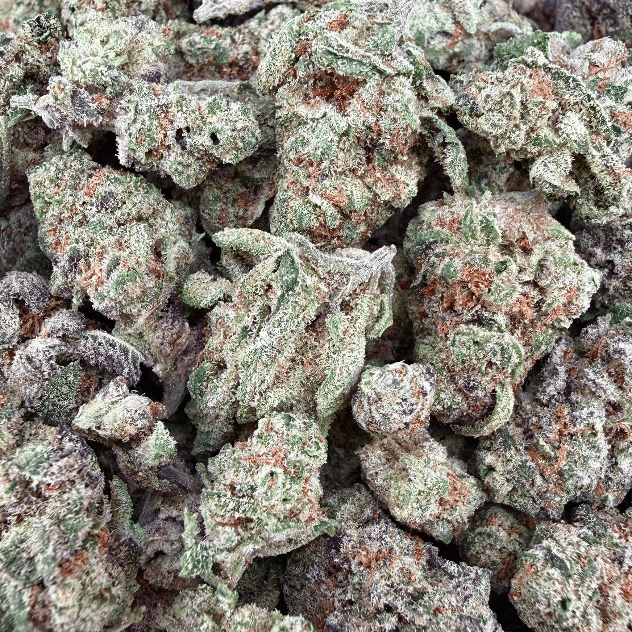 Glitter Bomb THCa Smalls - Valley Hemp