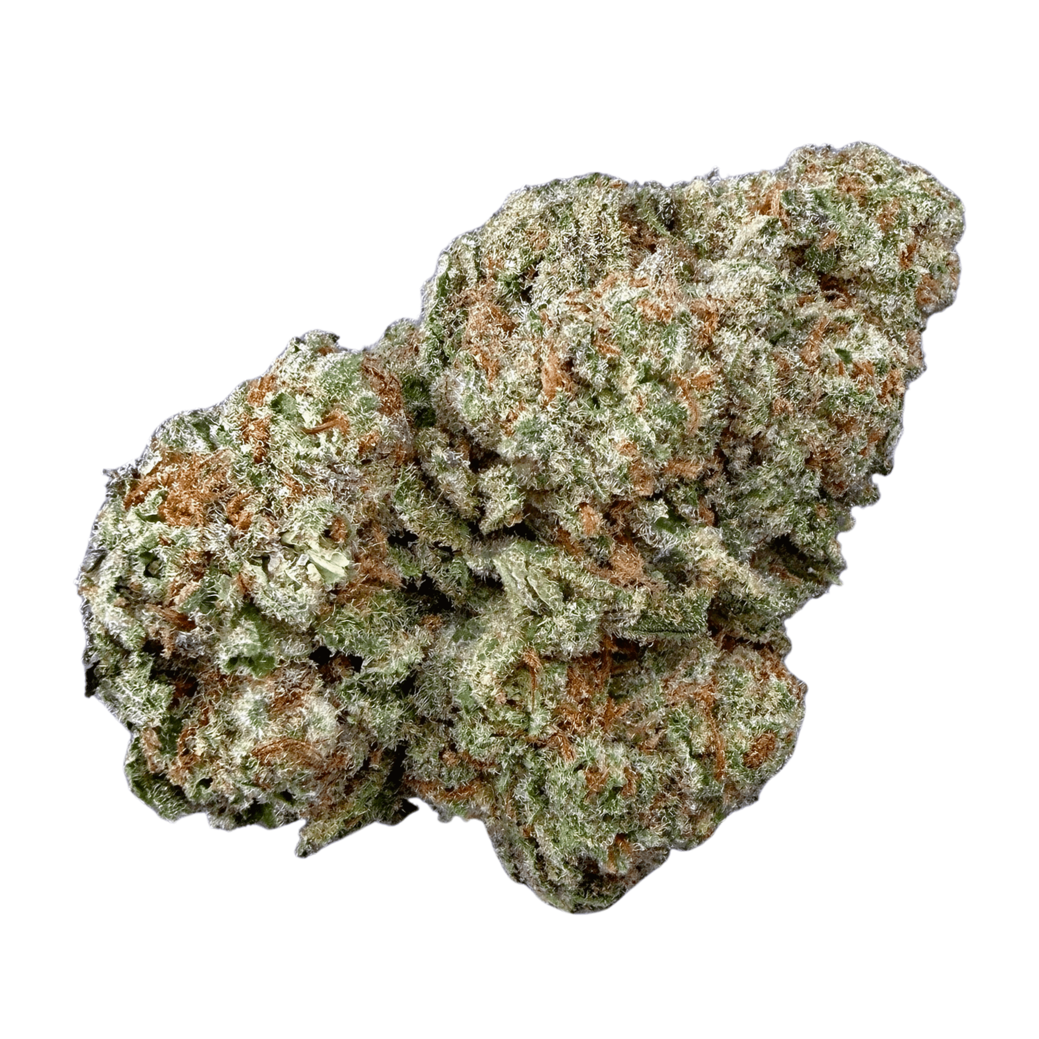 Glitter Bomb (Wholesale) - Valley Hemp