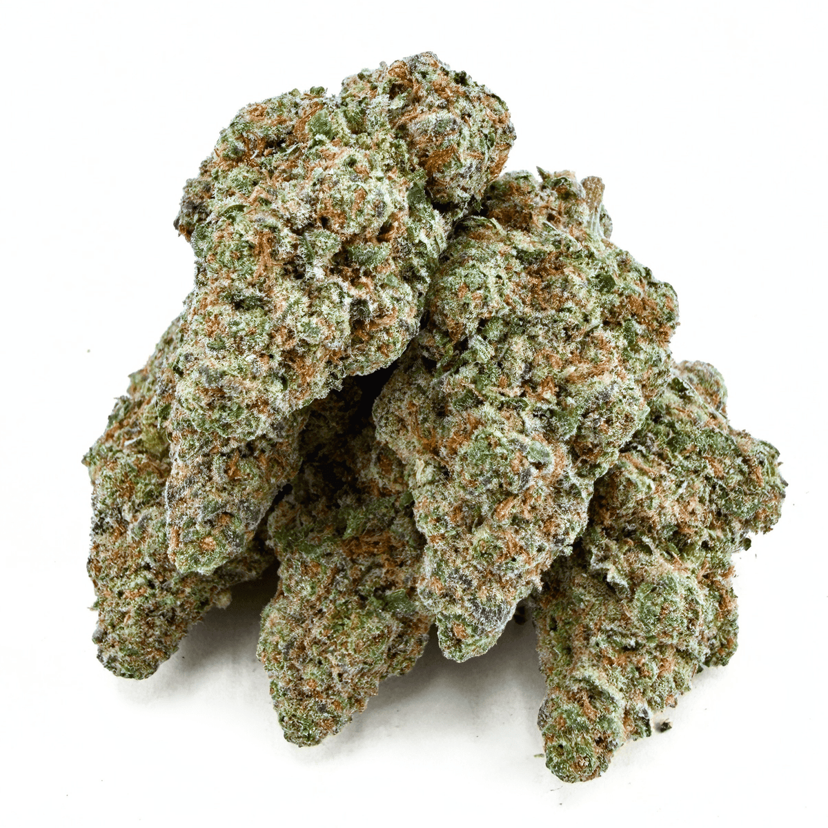 Glitter Bomb (Wholesale) - Valley Hemp