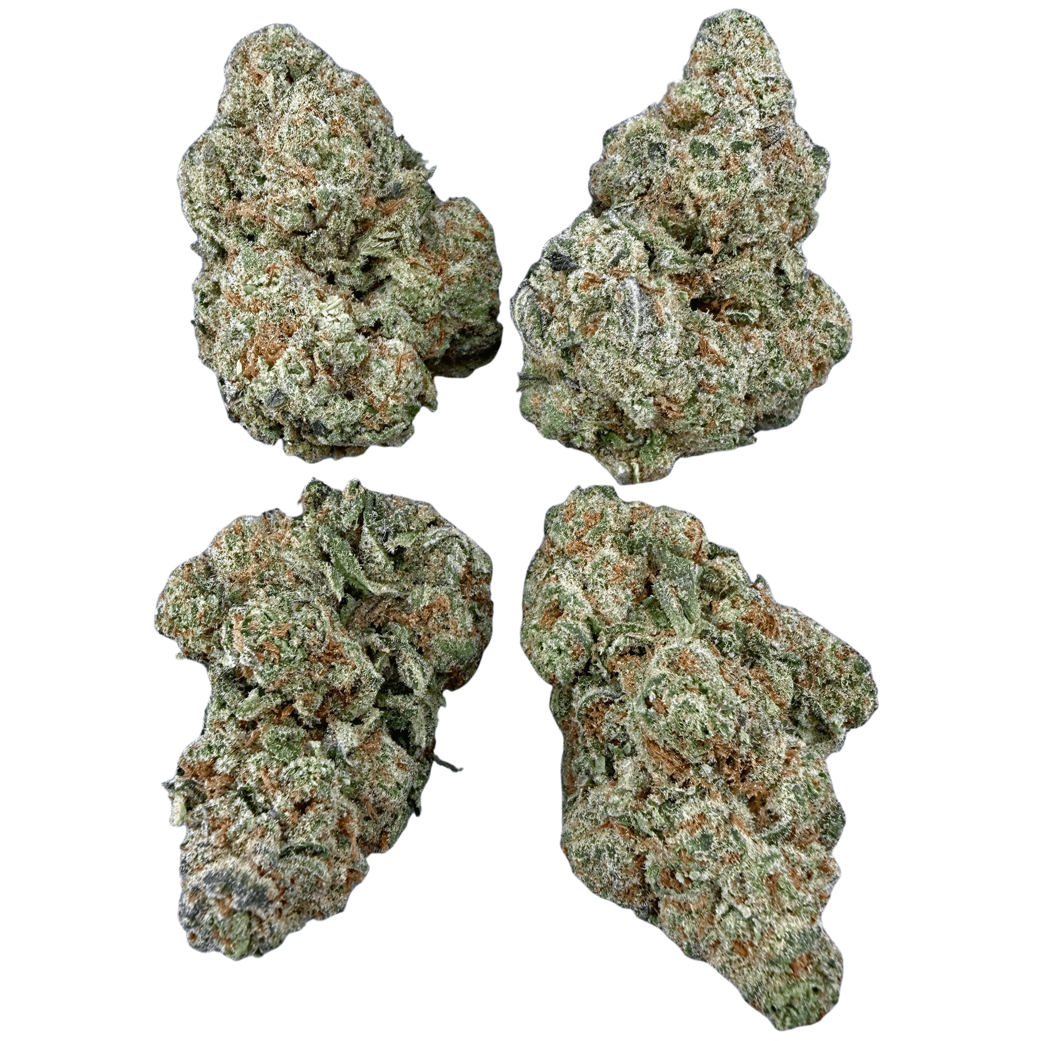 Glitter Bomb (Wholesale) - Valley Hemp