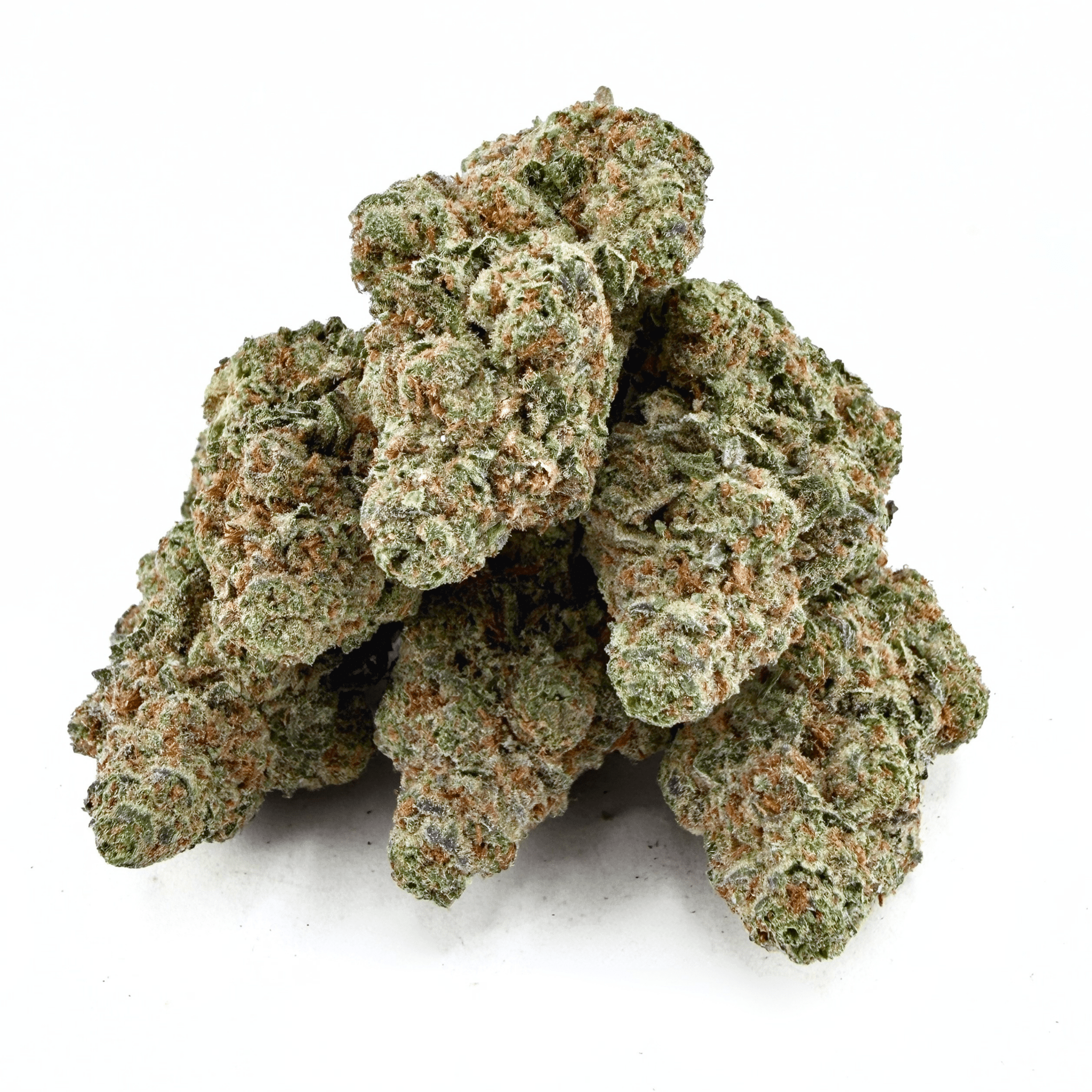 Glitter Bomb (Wholesale) - Valley Hemp