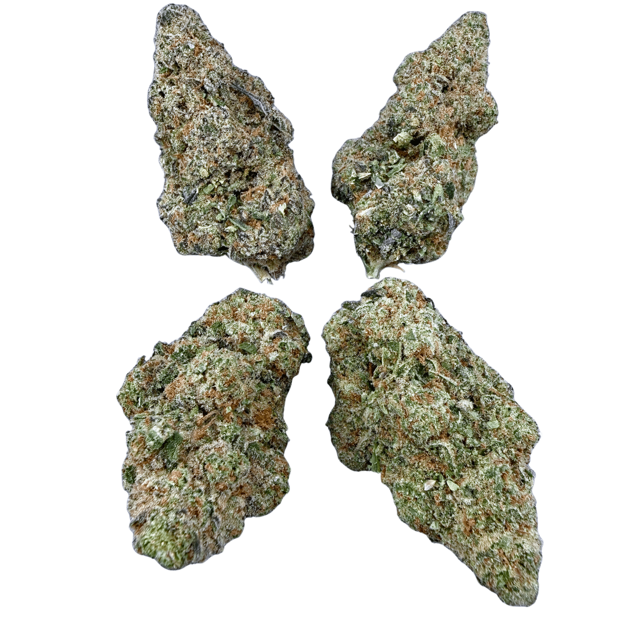 Glitter Bomb (Wholesale) - Valley Hemp