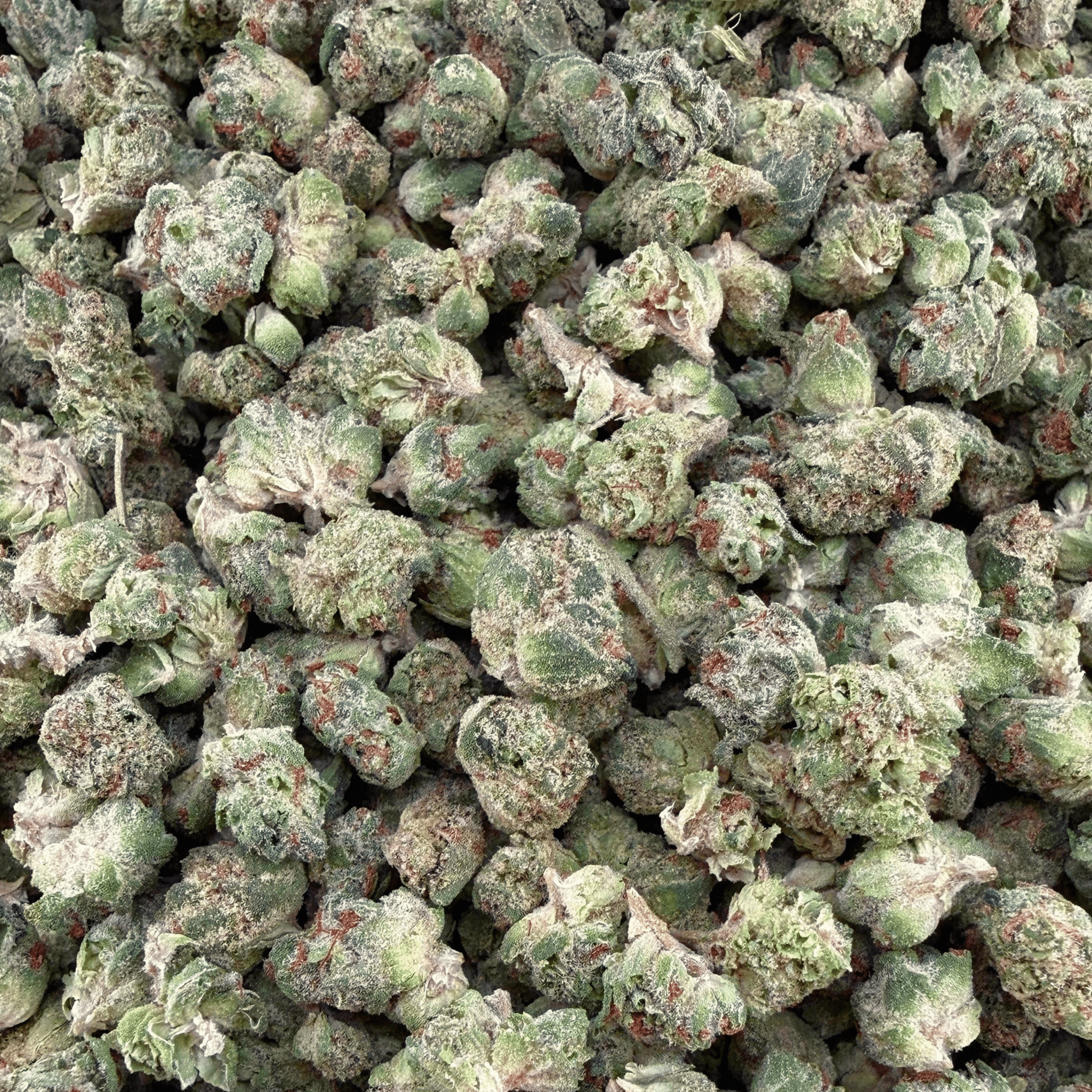 GMO THCa Micro - Valley Hemp
