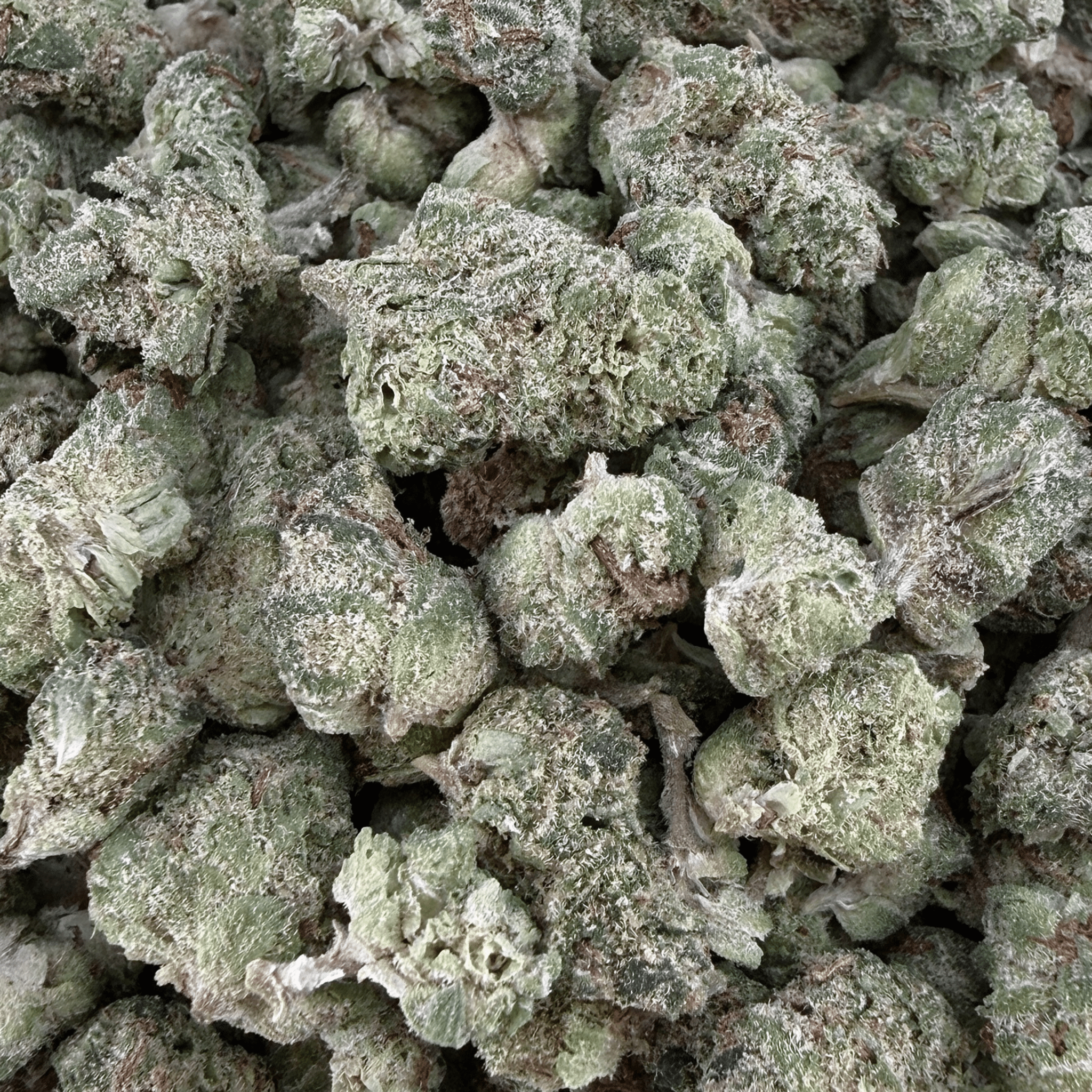 GMO THCa Micro (Half-Price Wholesale Clearance) - Valley Hemp